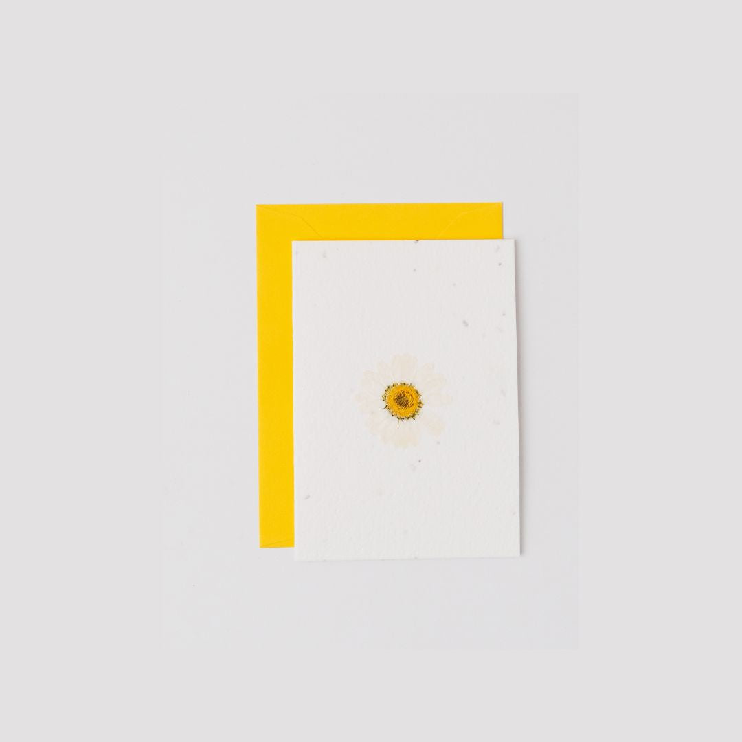 Real Pressed Flower Plantable Notecard, Daisy