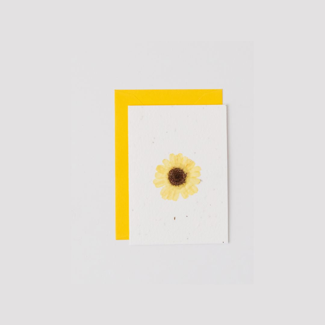 Real Pressed Flower Plantable Notecard, Yellow Daisy