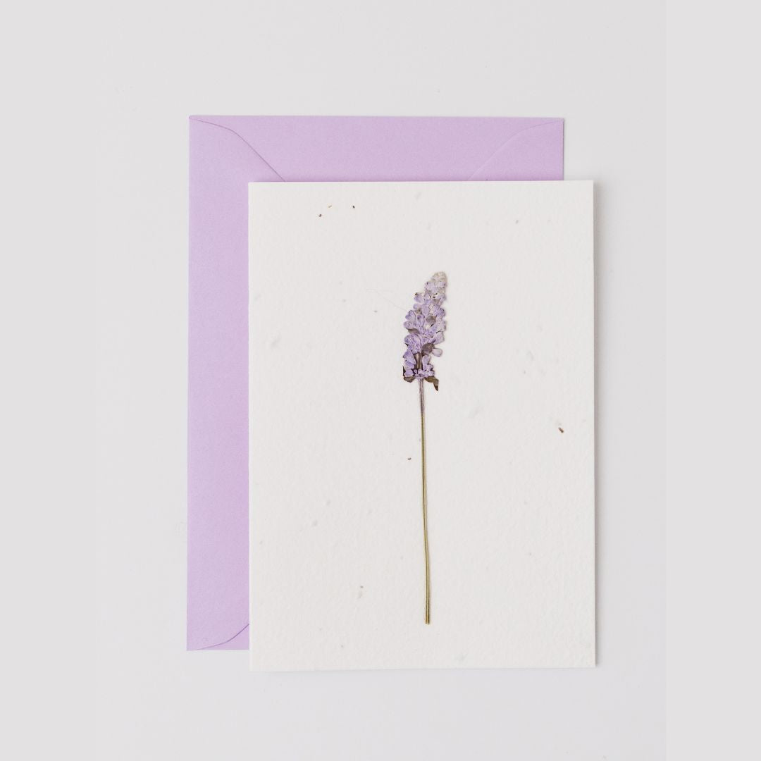 Pressed Flower Plantable Card, Lavender