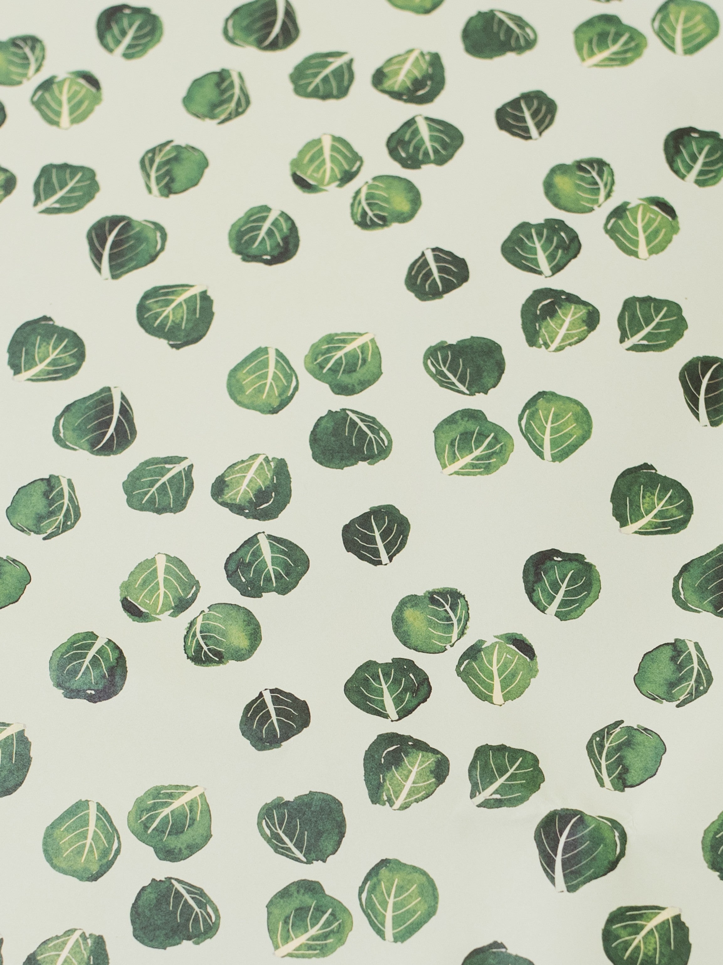 Brussel Sprout Recycled Wrap & Plantable Tag Set