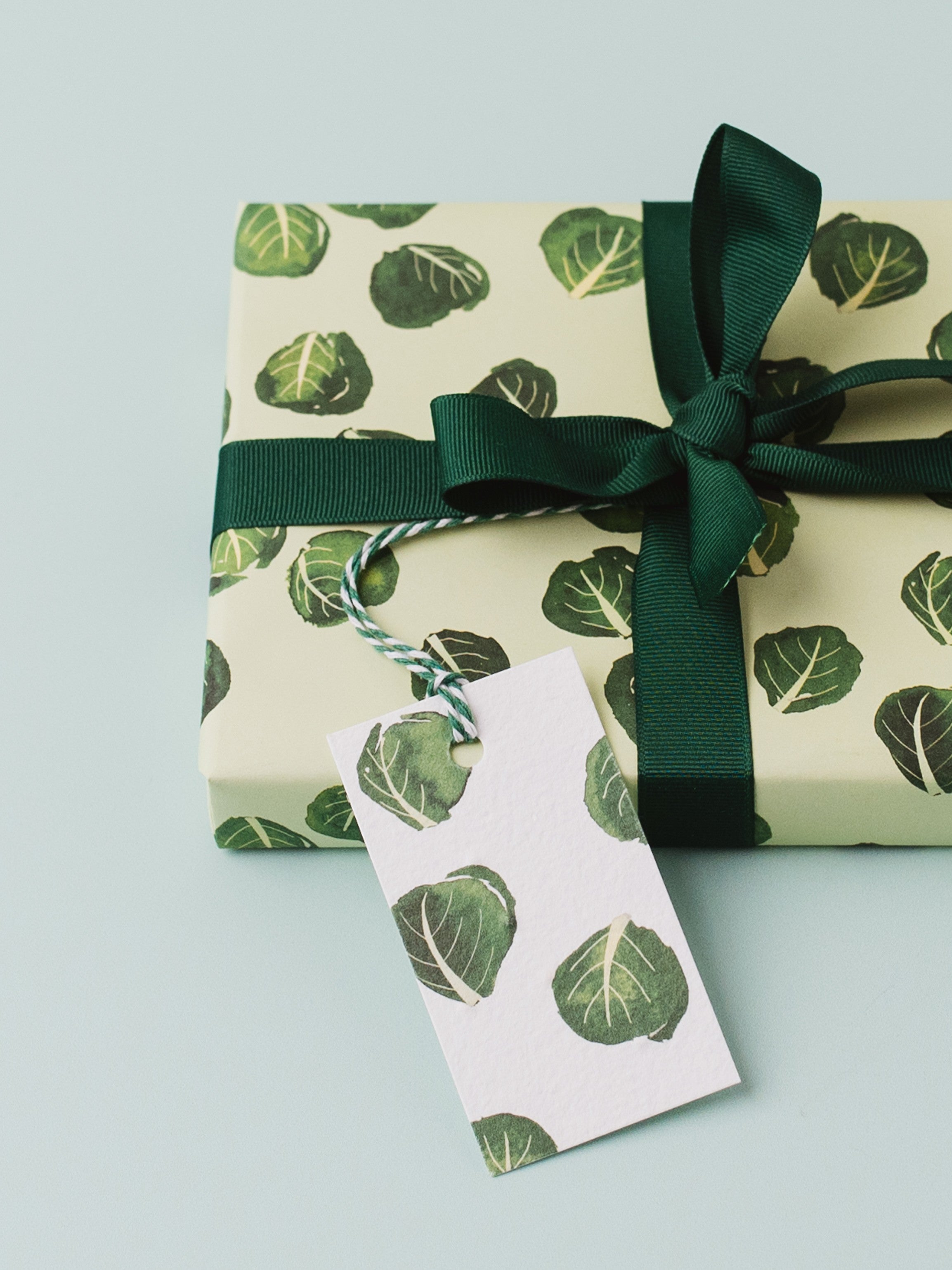 Brussel Sprout Recycled Wrap & Plantable Tag Set