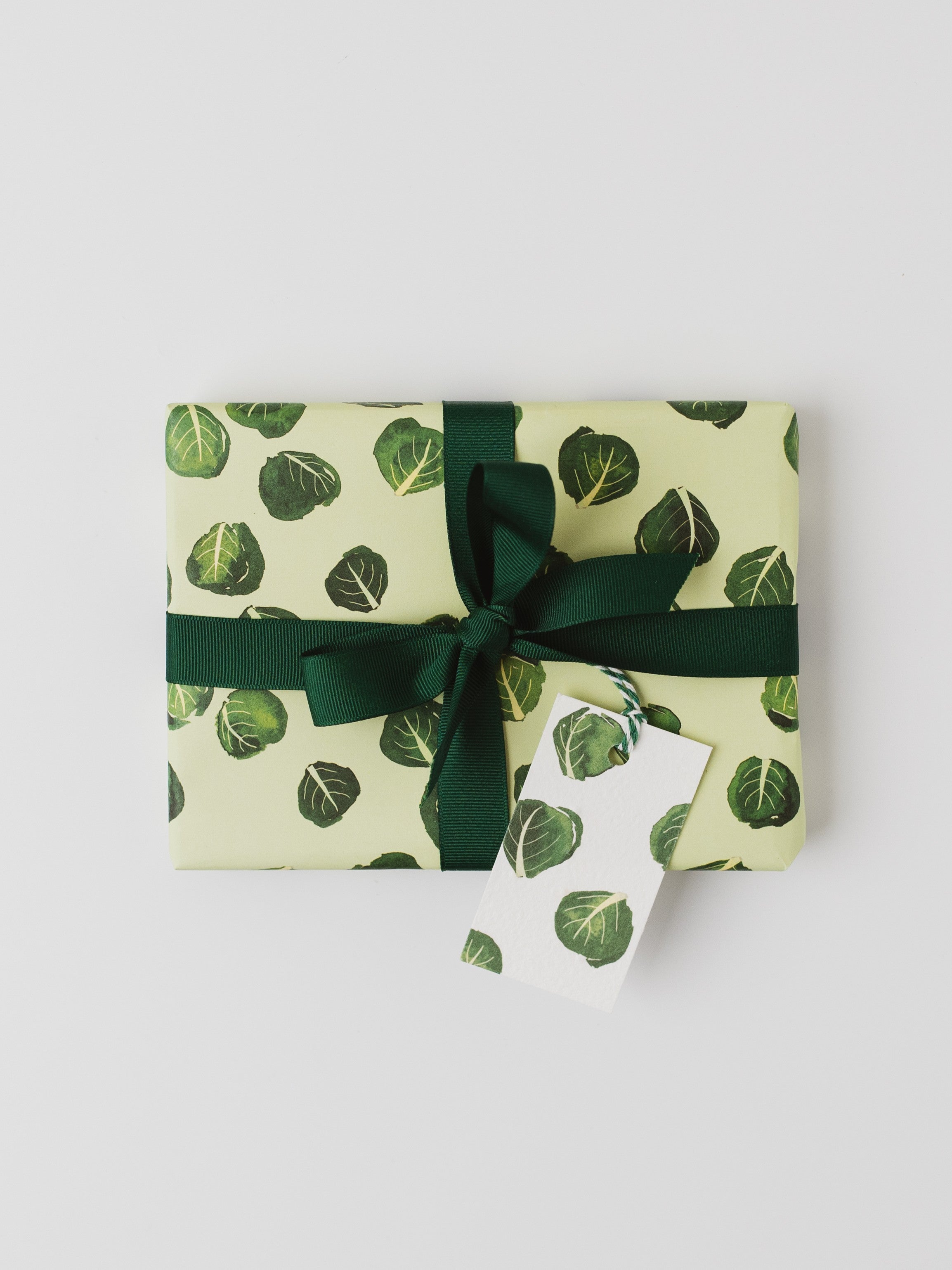 Brussel Sprout Recycled Wrap & Plantable Tag Set