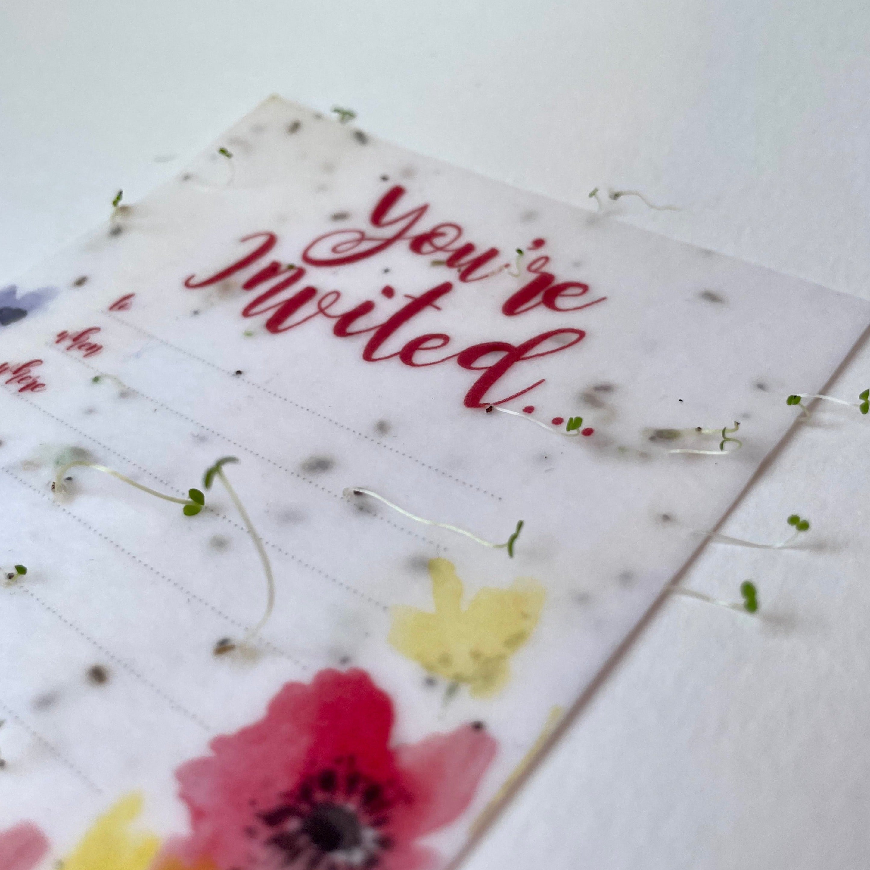 Poppy Meadow Plantable Invitation Set