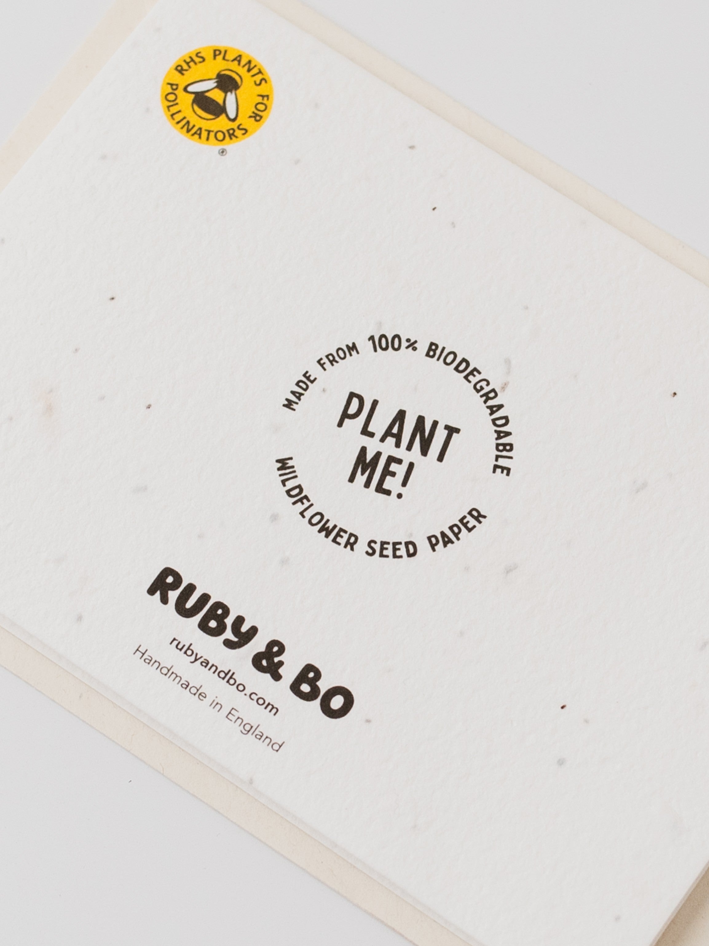 Peace Plantable Christmas Card