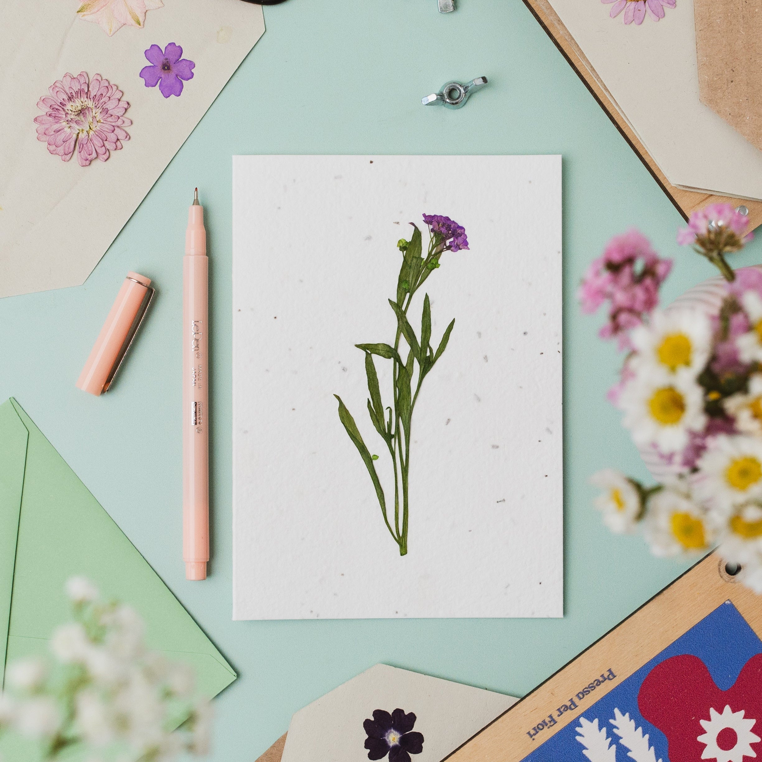 Pressed Flower Plantable Card, Purple Stem