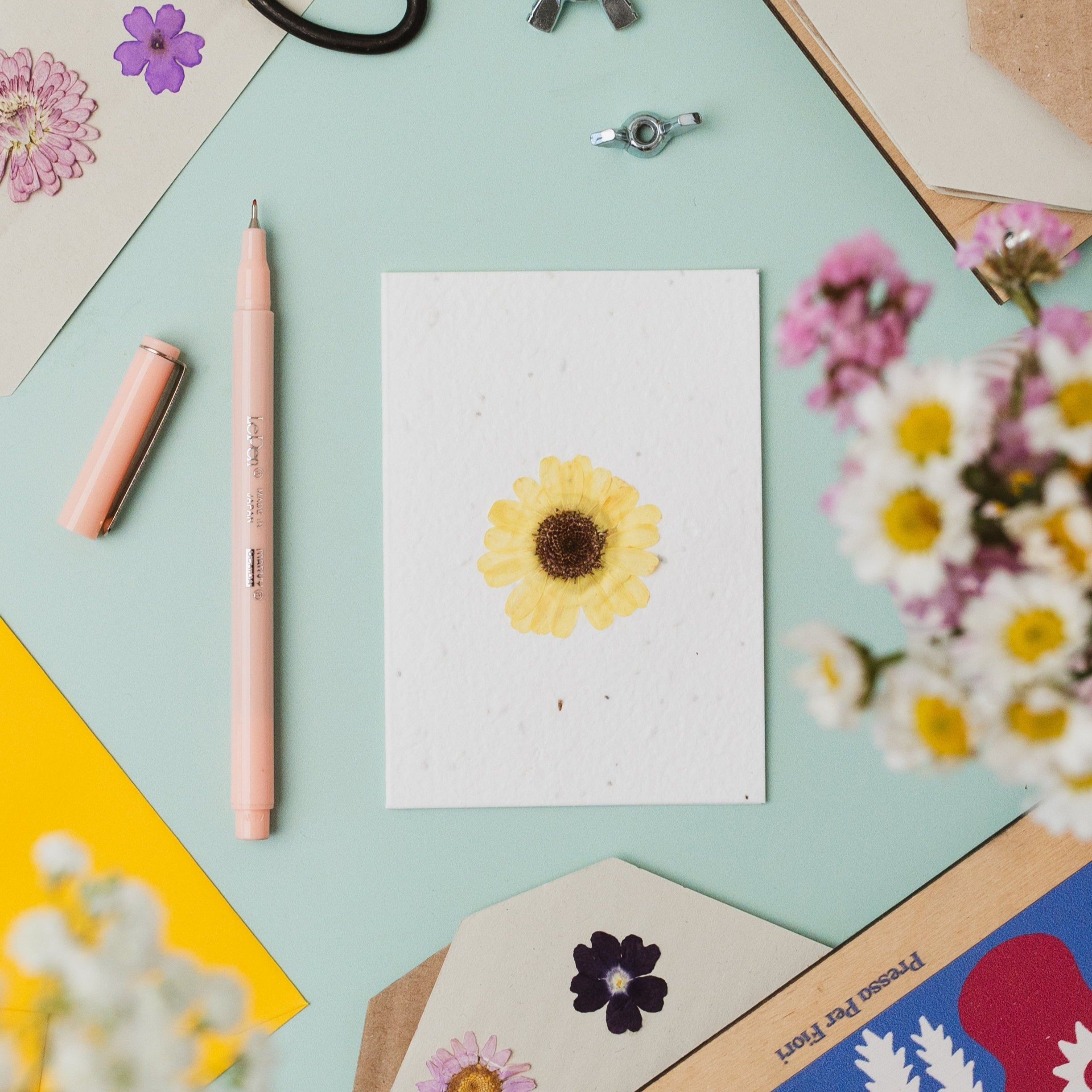 Real Pressed Flower Plantable Notecard, Yellow Daisy