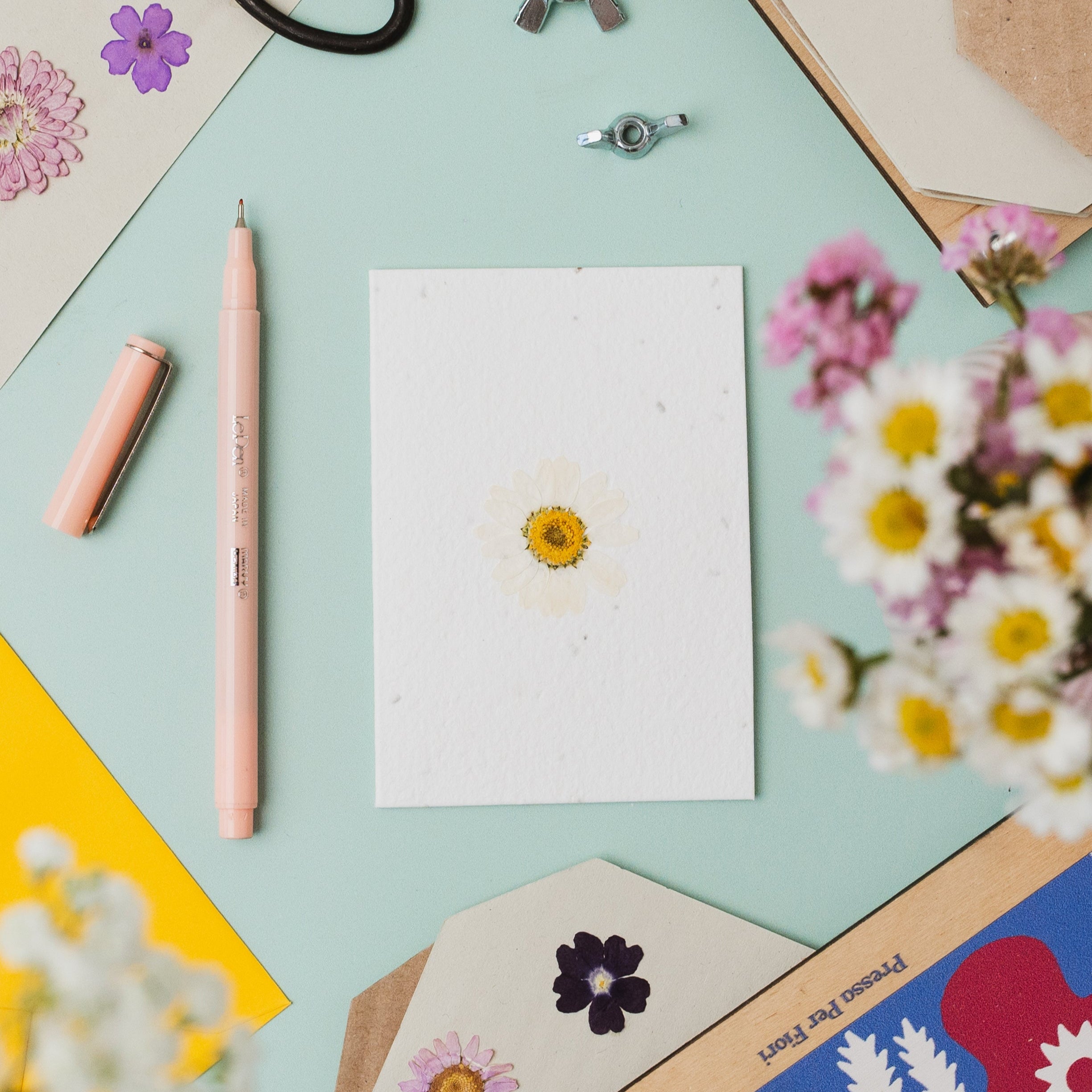 Real Pressed Flower Plantable Notecard, Daisy