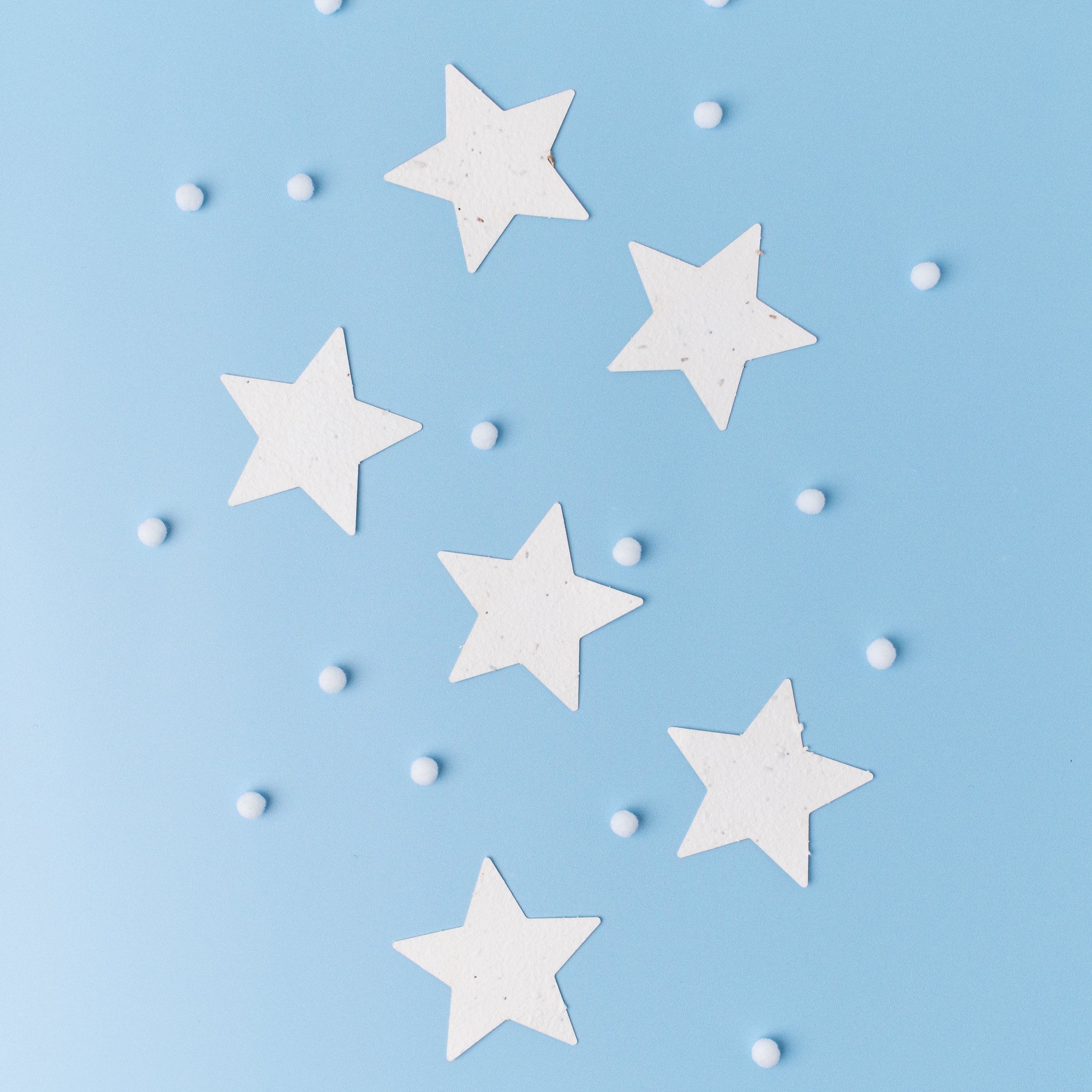 Christmas Star Plantable Stars