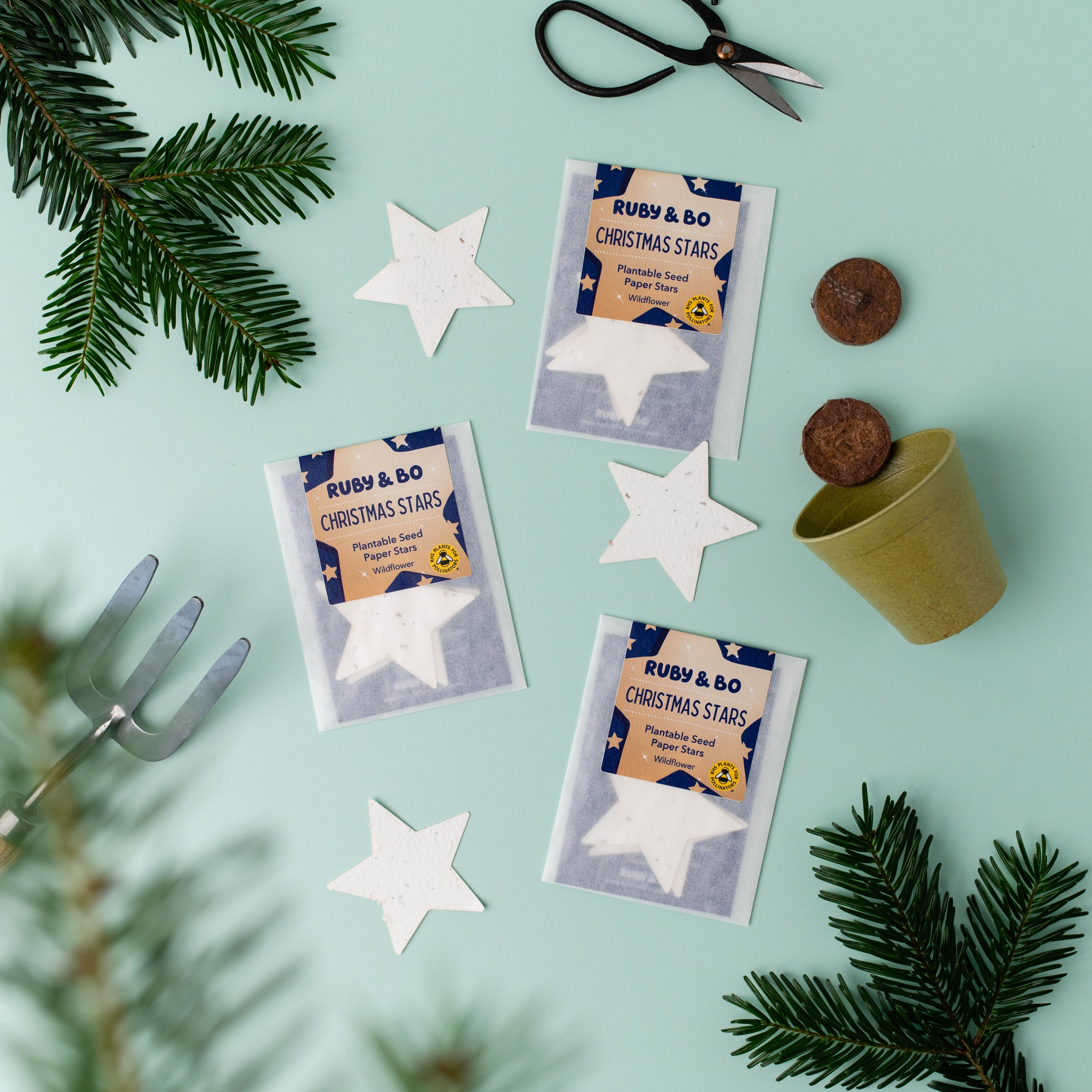 Christmas Star Plantable Stars