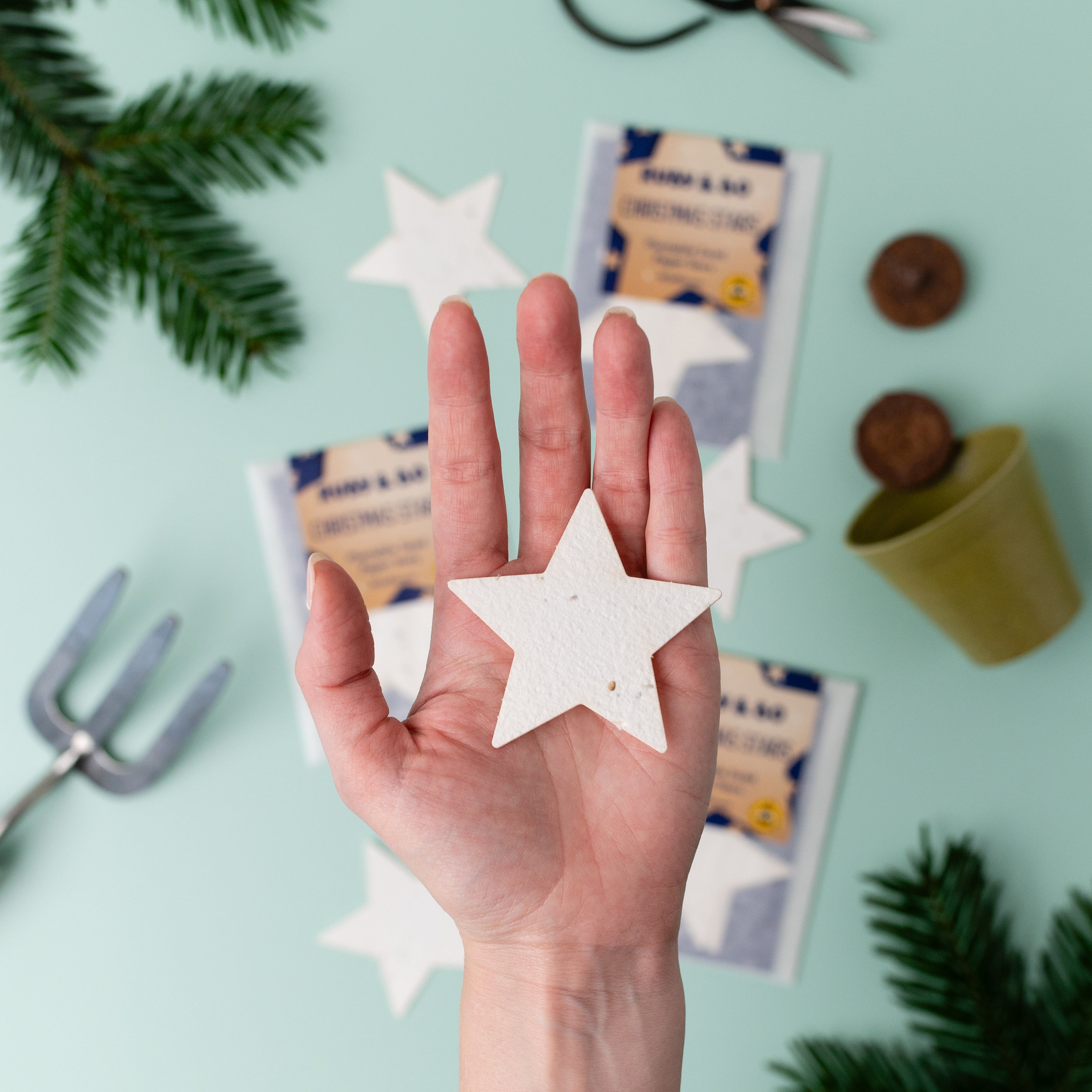 Christmas Star Plantable Stars