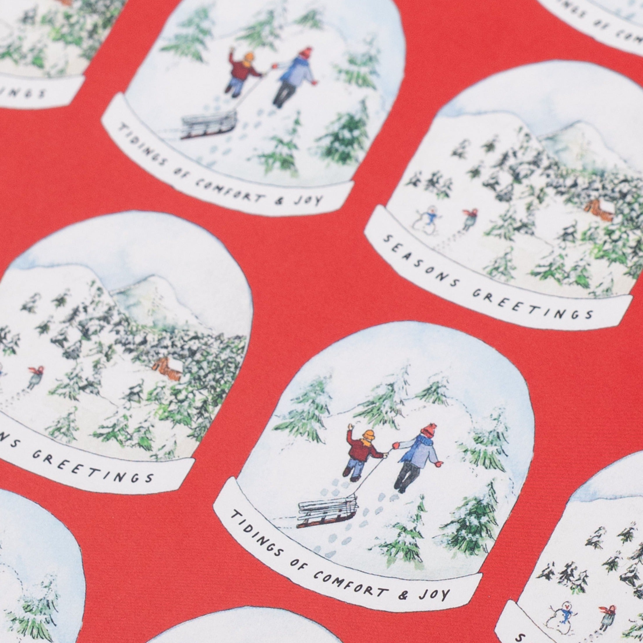 Red Snowglobe Recycled Wrap & Plantable Tag Set