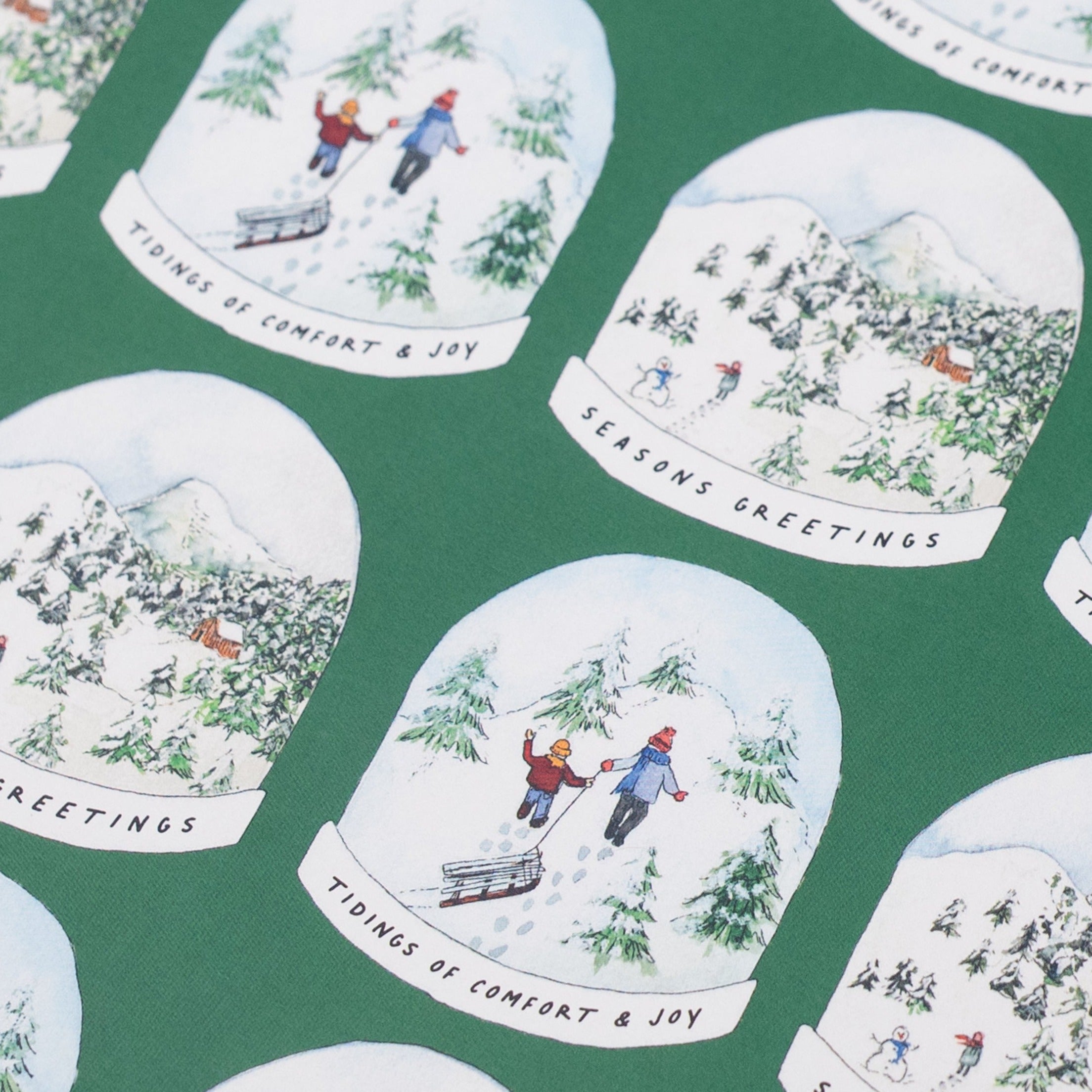 Green Snowglobe Recycled Wrap & Plantable Tag Set