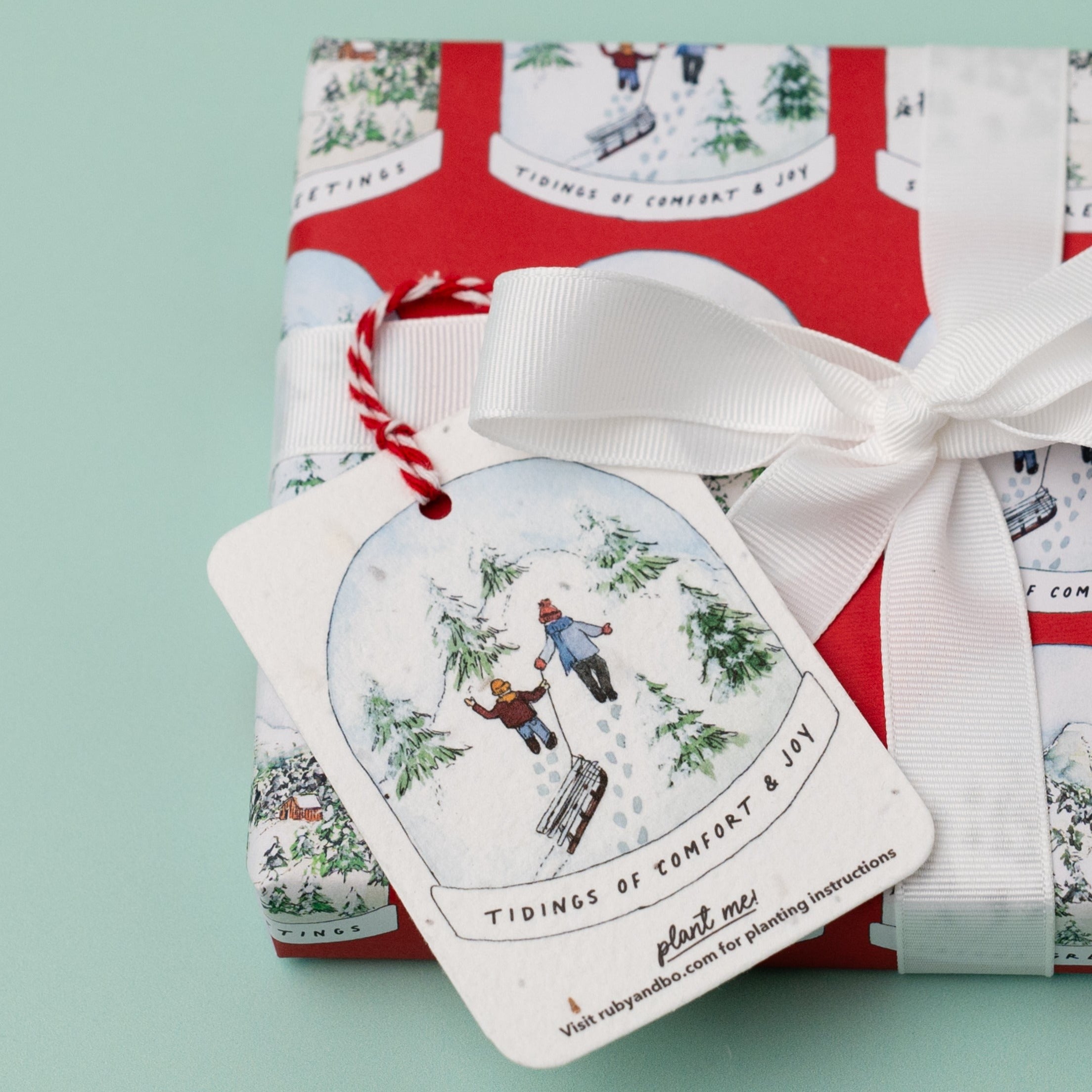 Red Snowglobe Recycled Wrap & Plantable Tag Set