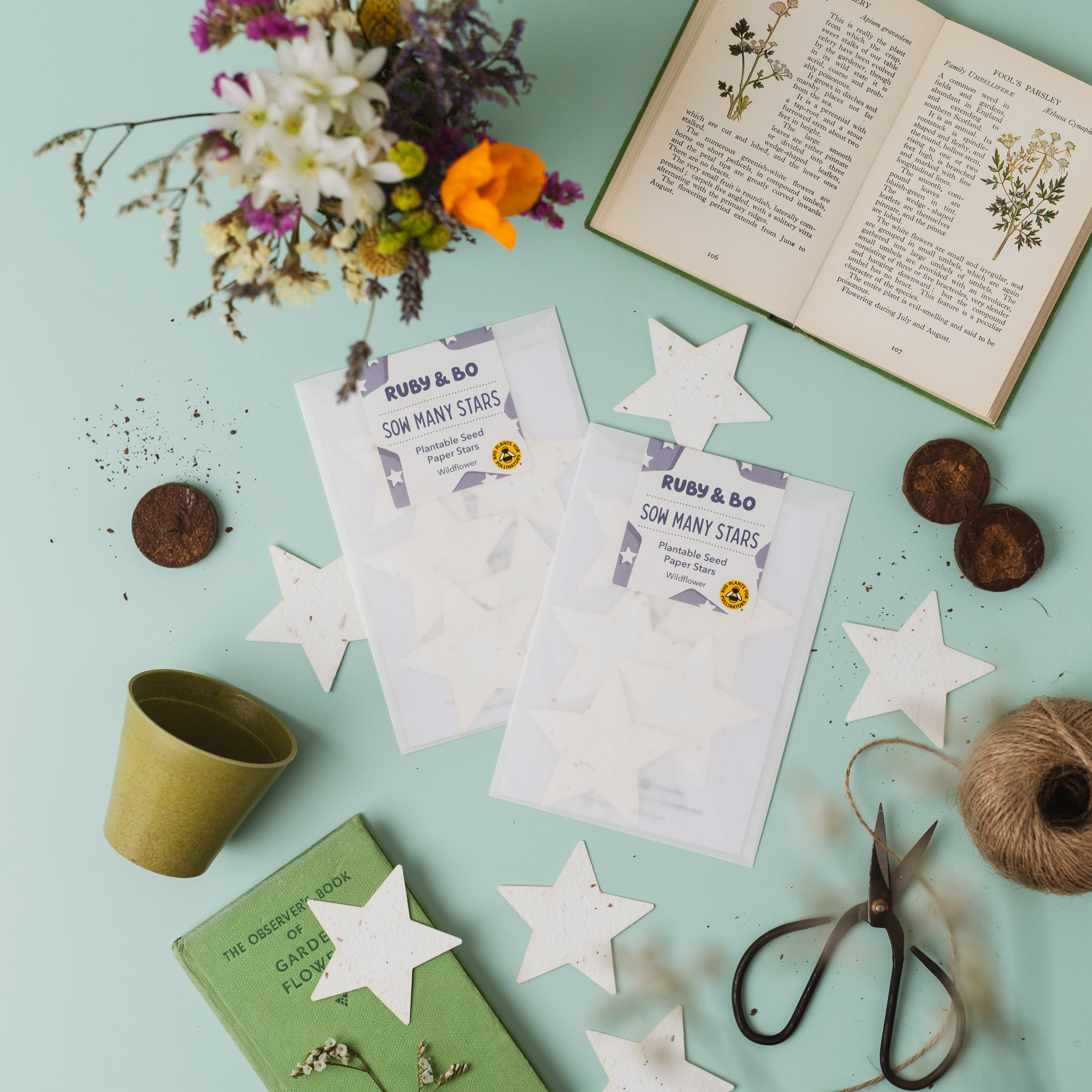 Two packs of Ruby & Bo Sow Many Stars Plantable Stars on a mint green background