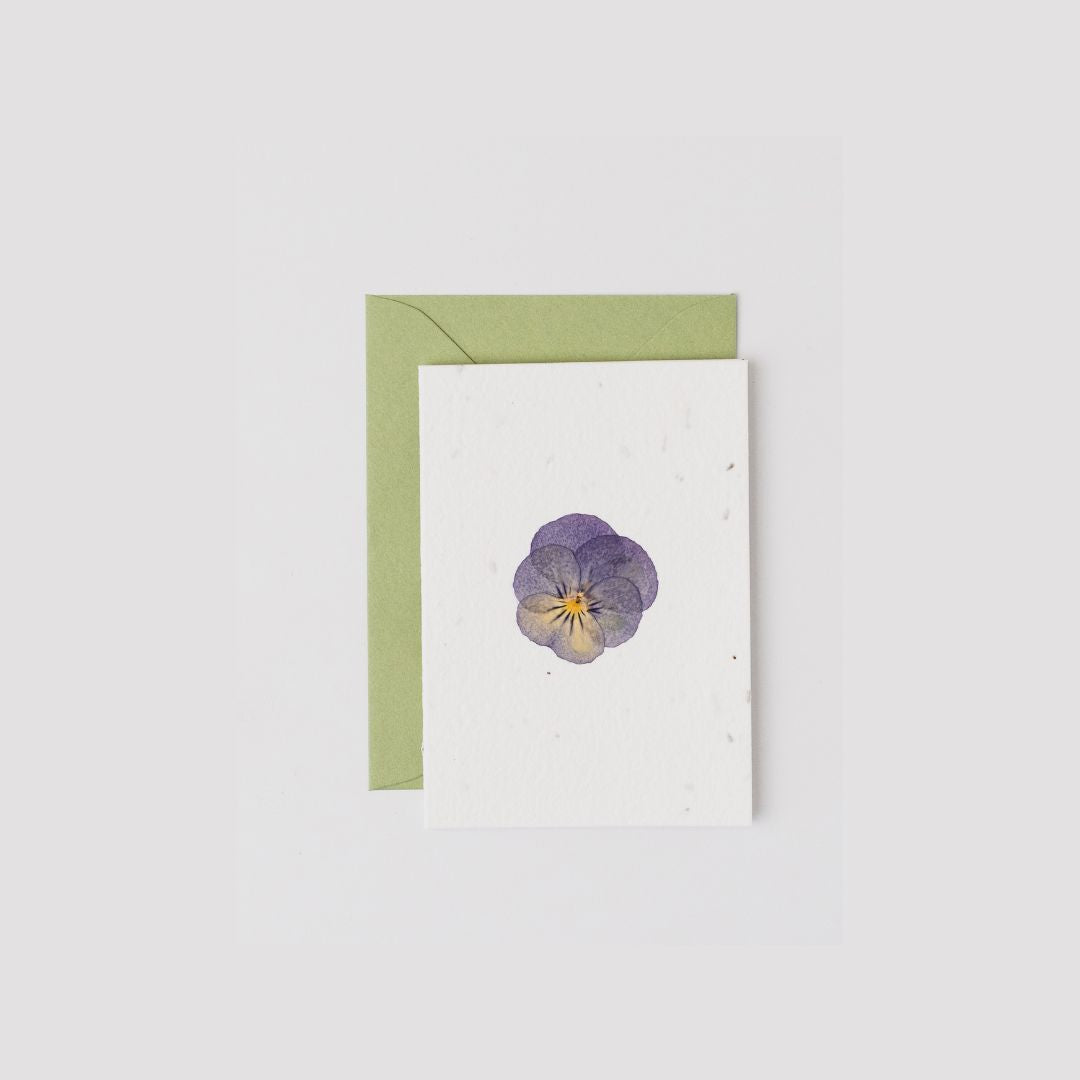 Pansy Pressed Flower Notecard