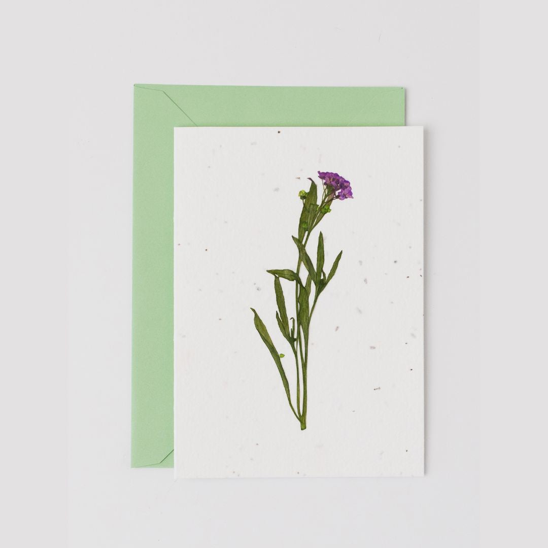 Pressed Flower Plantable Card, Purple Stem