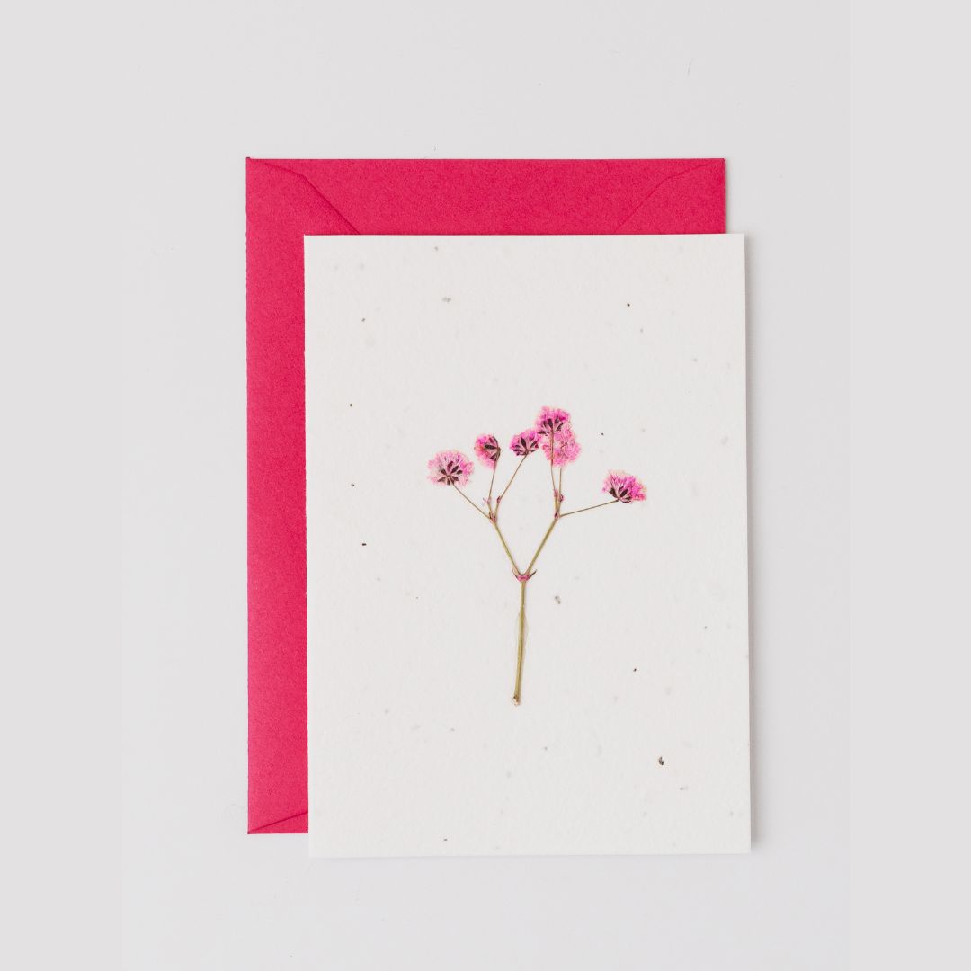 Pressed Flower Plantable Card, Pink Stem