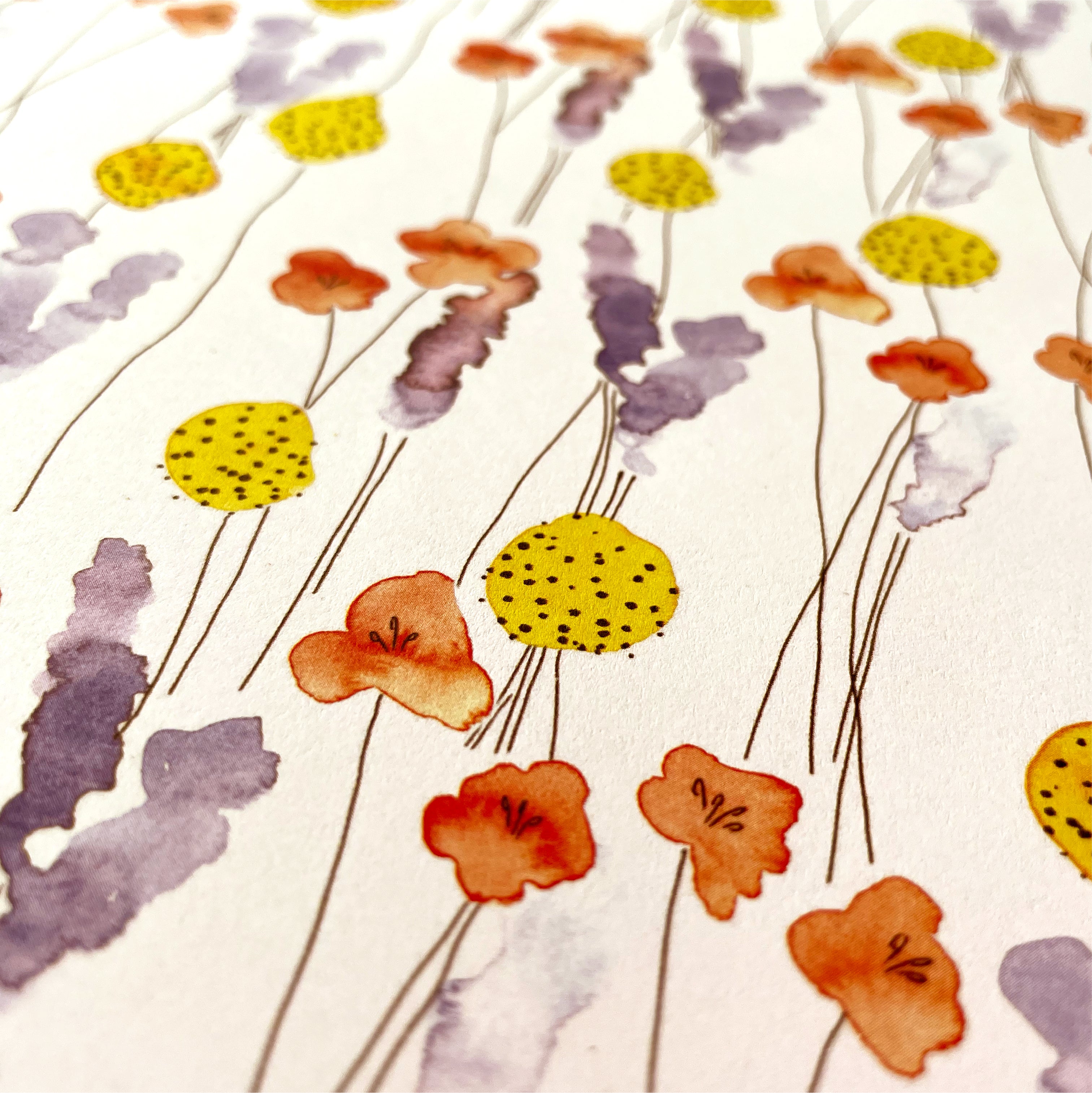 Billy Button Recycled Wrapping Paper