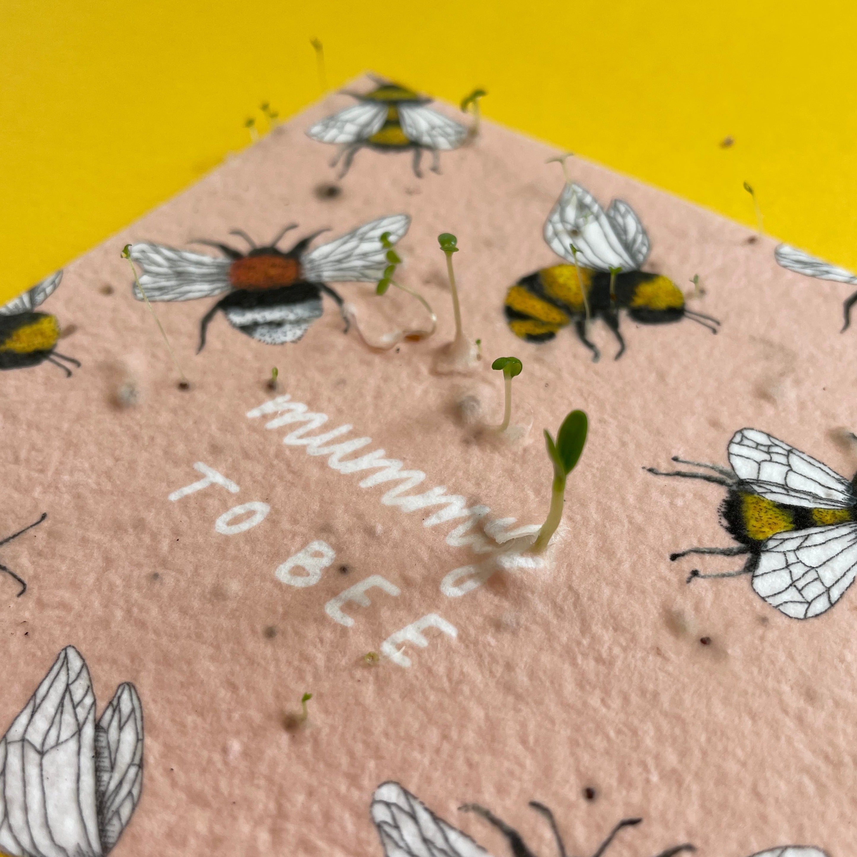 Mummy To Be Plantable Card