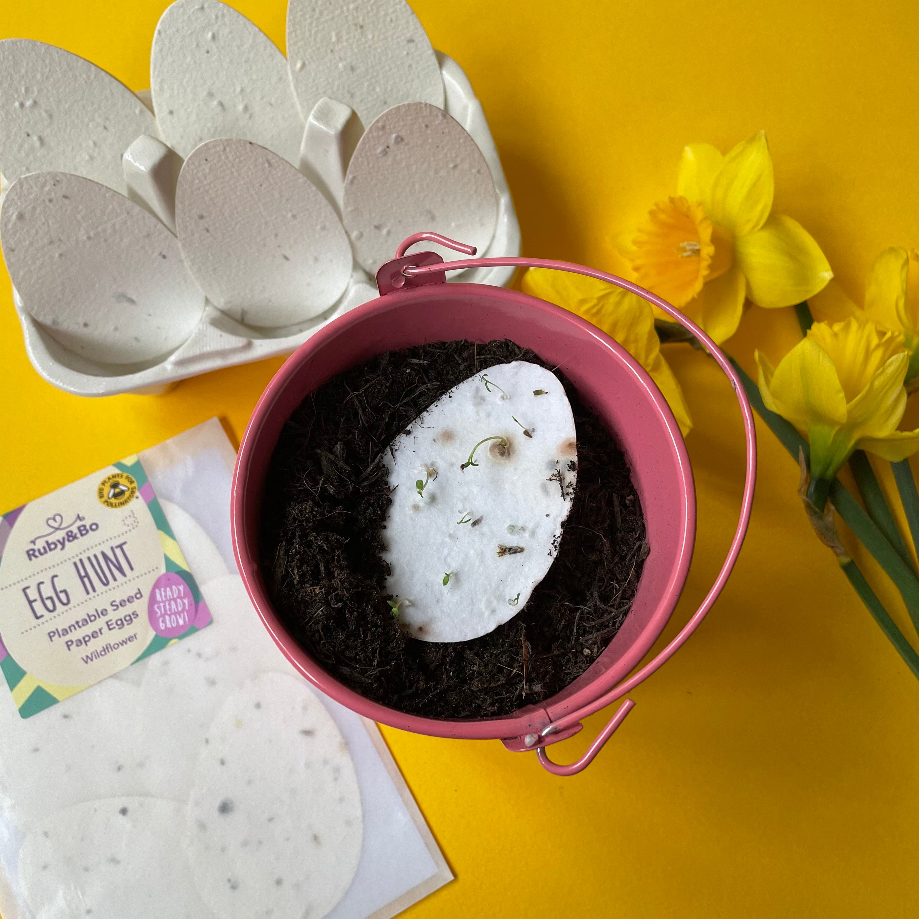Egg Hunt! Plantable Paper Eggs