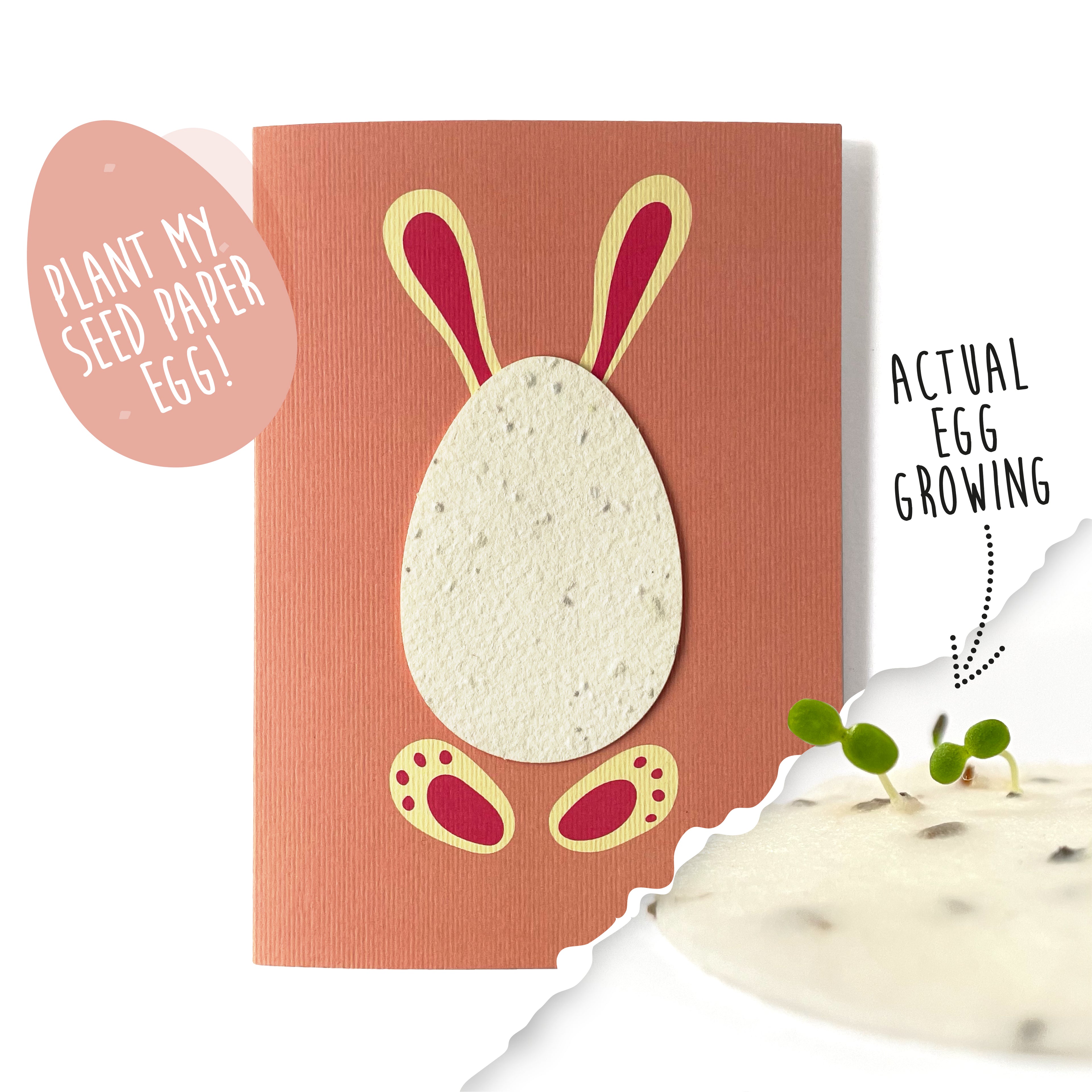 Easter Bunny Plantable Motif Card