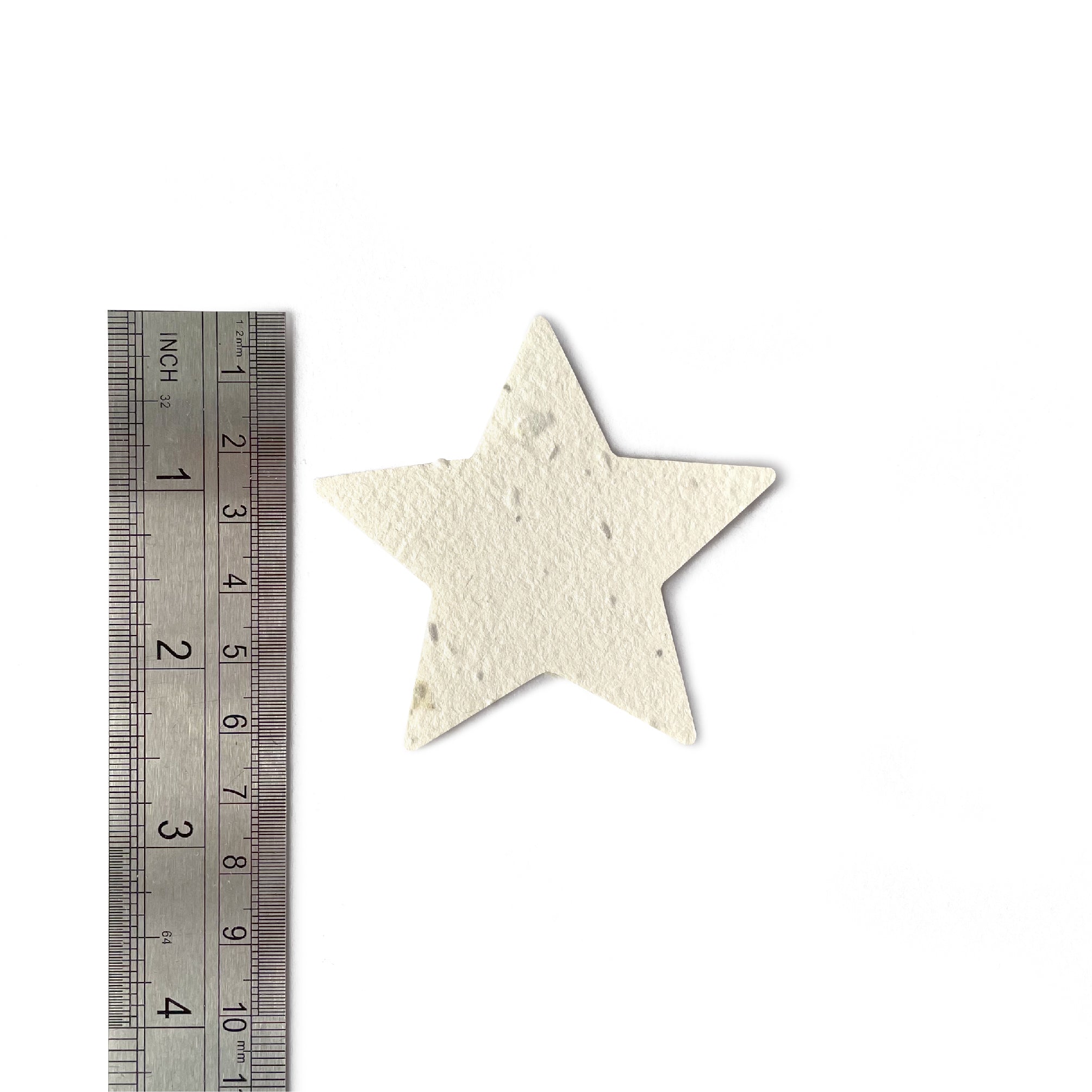 A Ruby & Bo plantable paper star shown on a white background with a metal ruler alongside