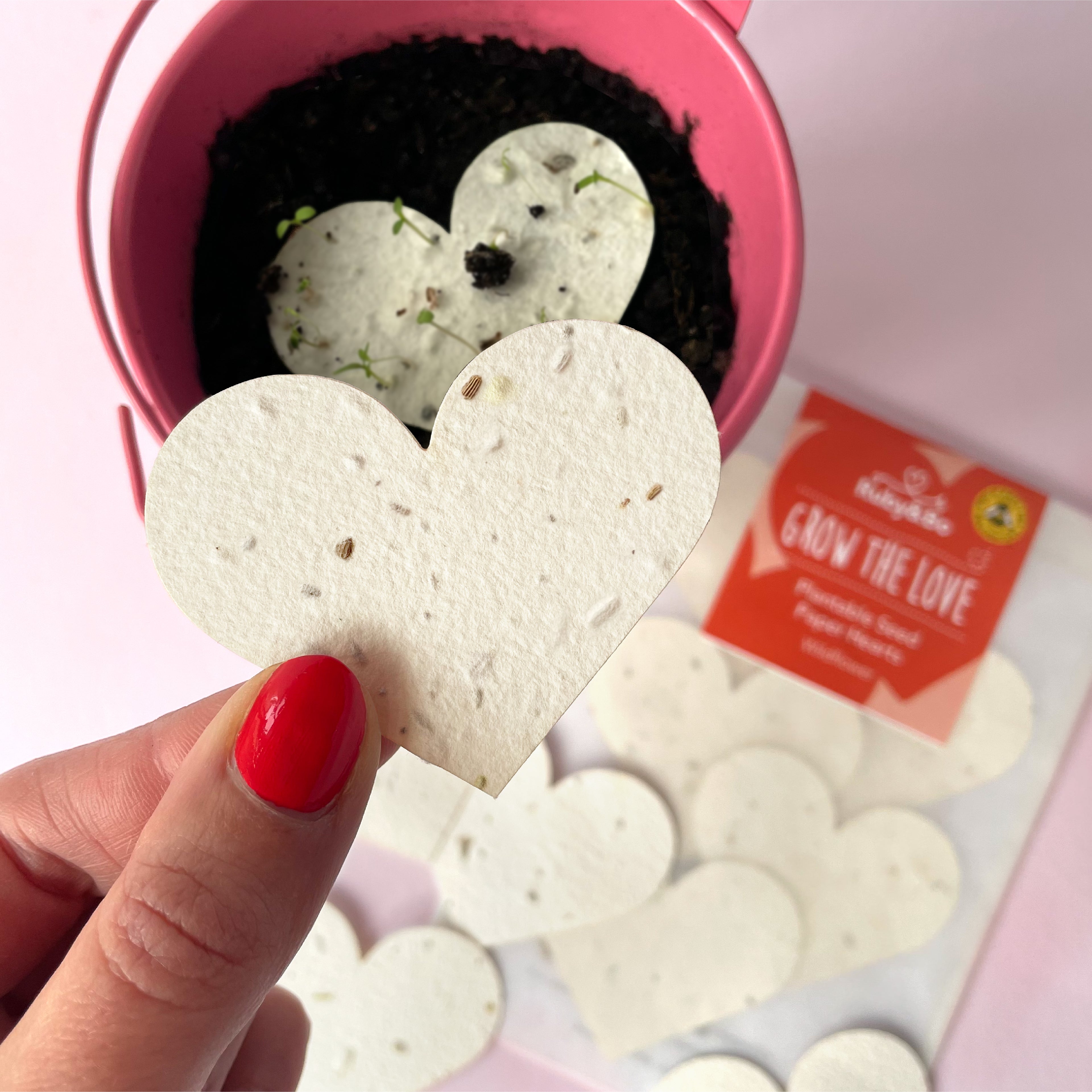 A Ruby & Bo plantable paper heart being held above a plant pot with a heart sprouting wildflowers in