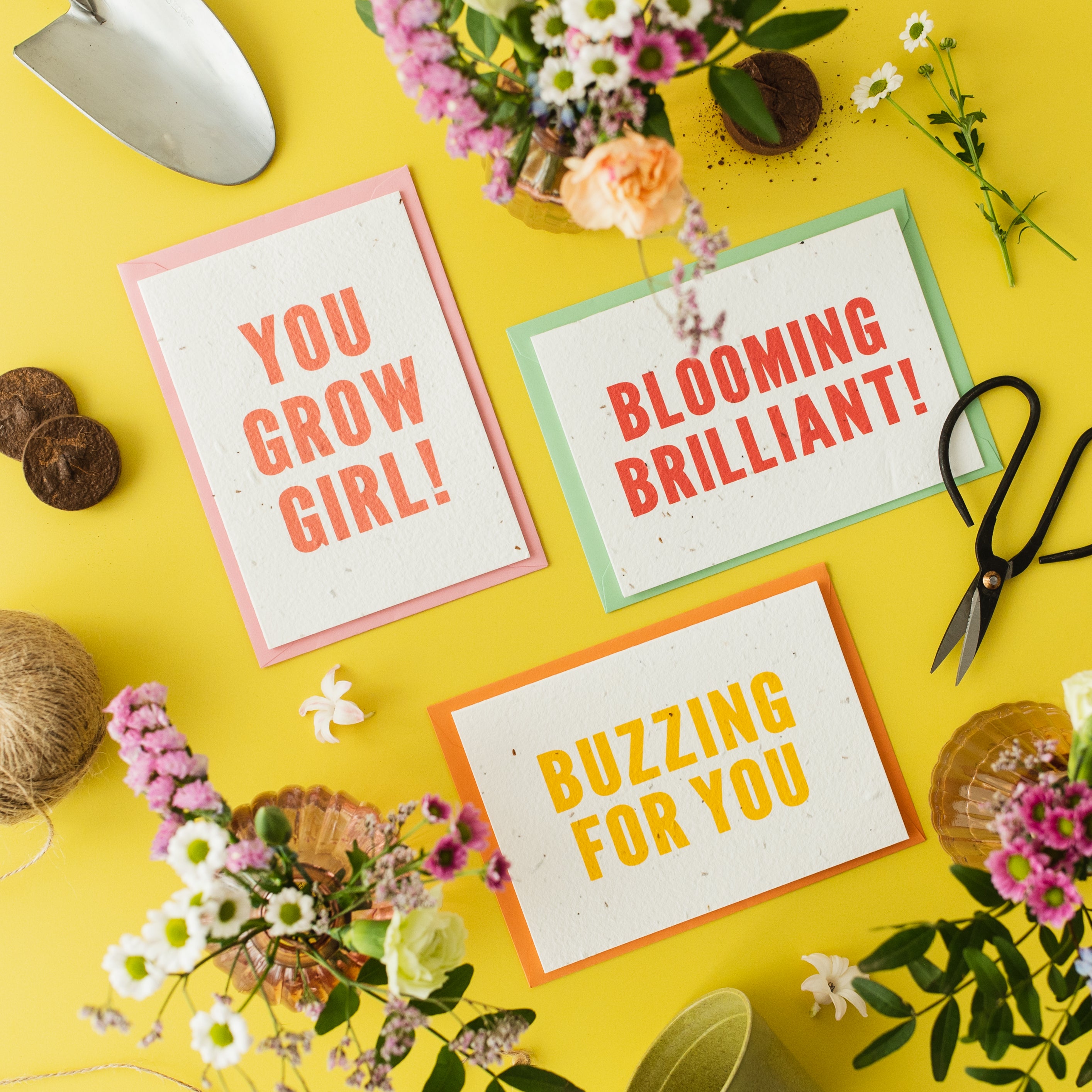Congratulations Plantable Card Set of 3
