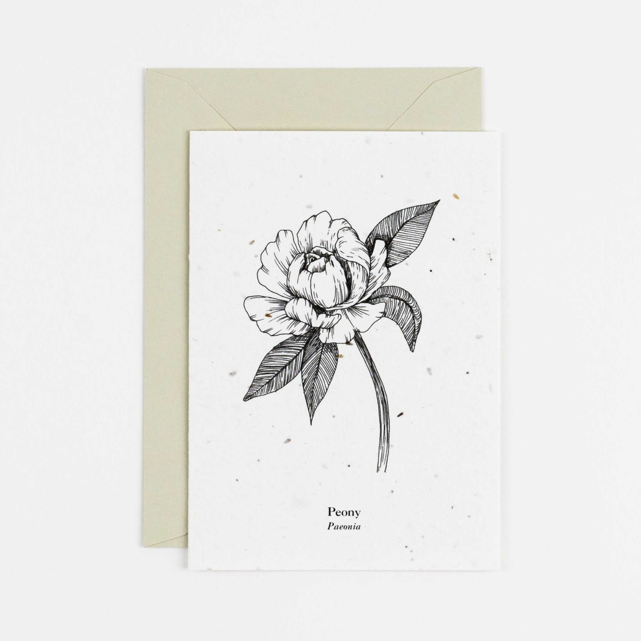 Peony plantable card
