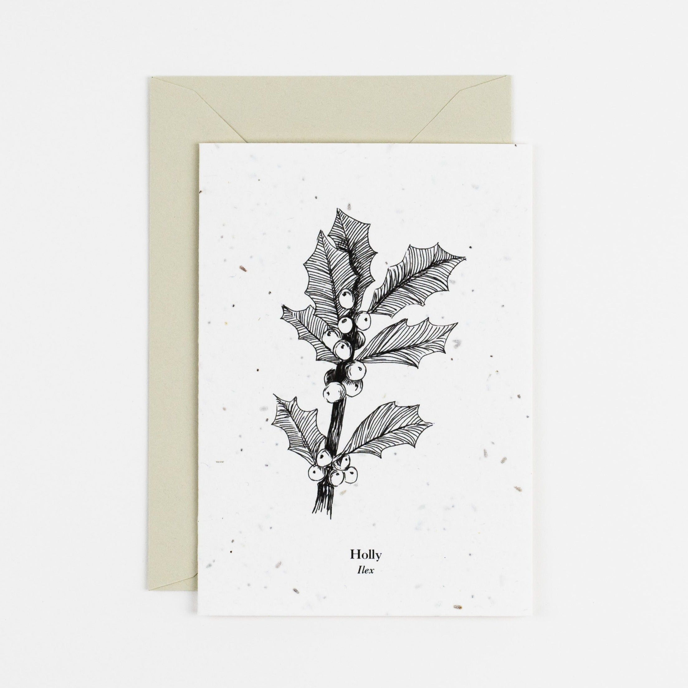 holly plantable card