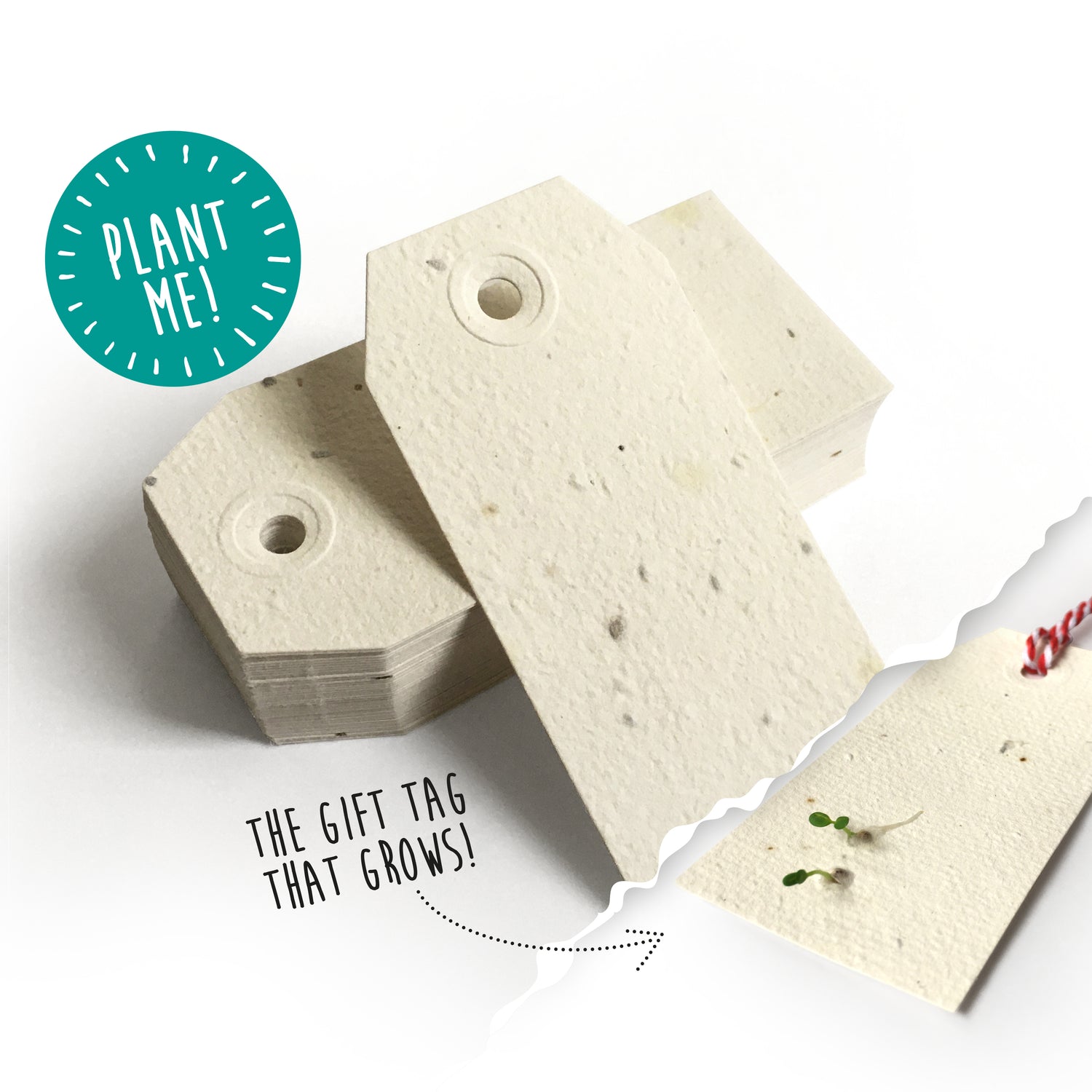 Plantable Gift Tags, Set of 10