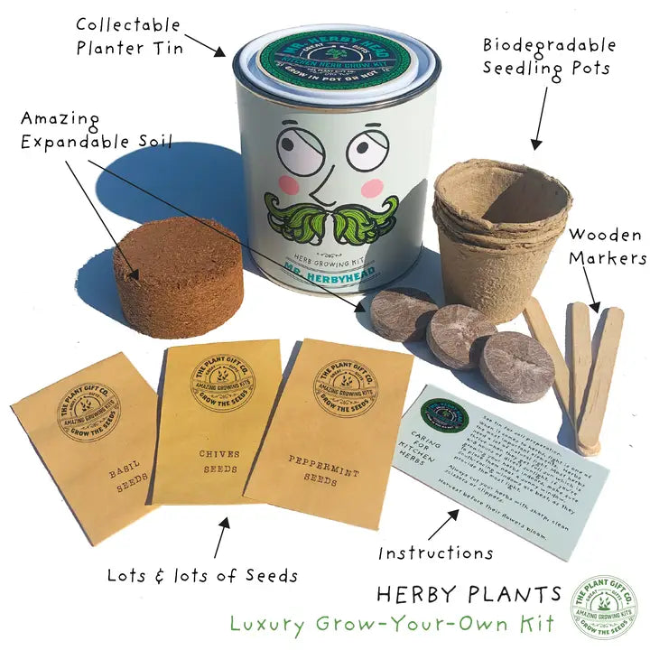 Mr Herbyhead Grow Your Own Herb Kit