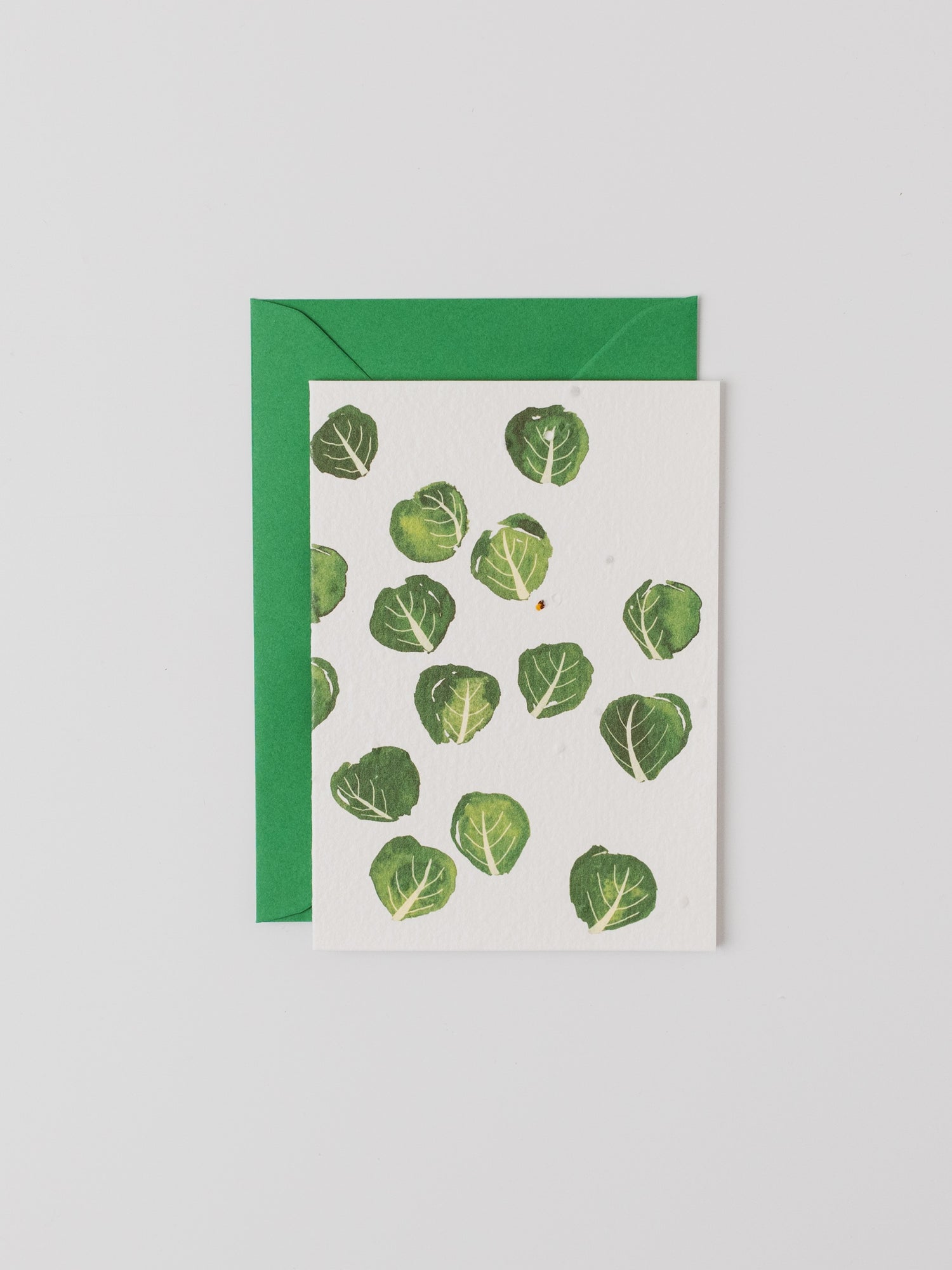 Brussel Sprout Plantable Christmas Card