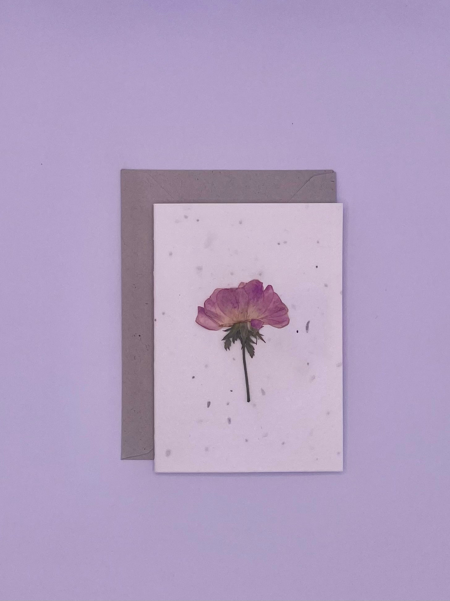 Pressed Flower Plantable Notecard