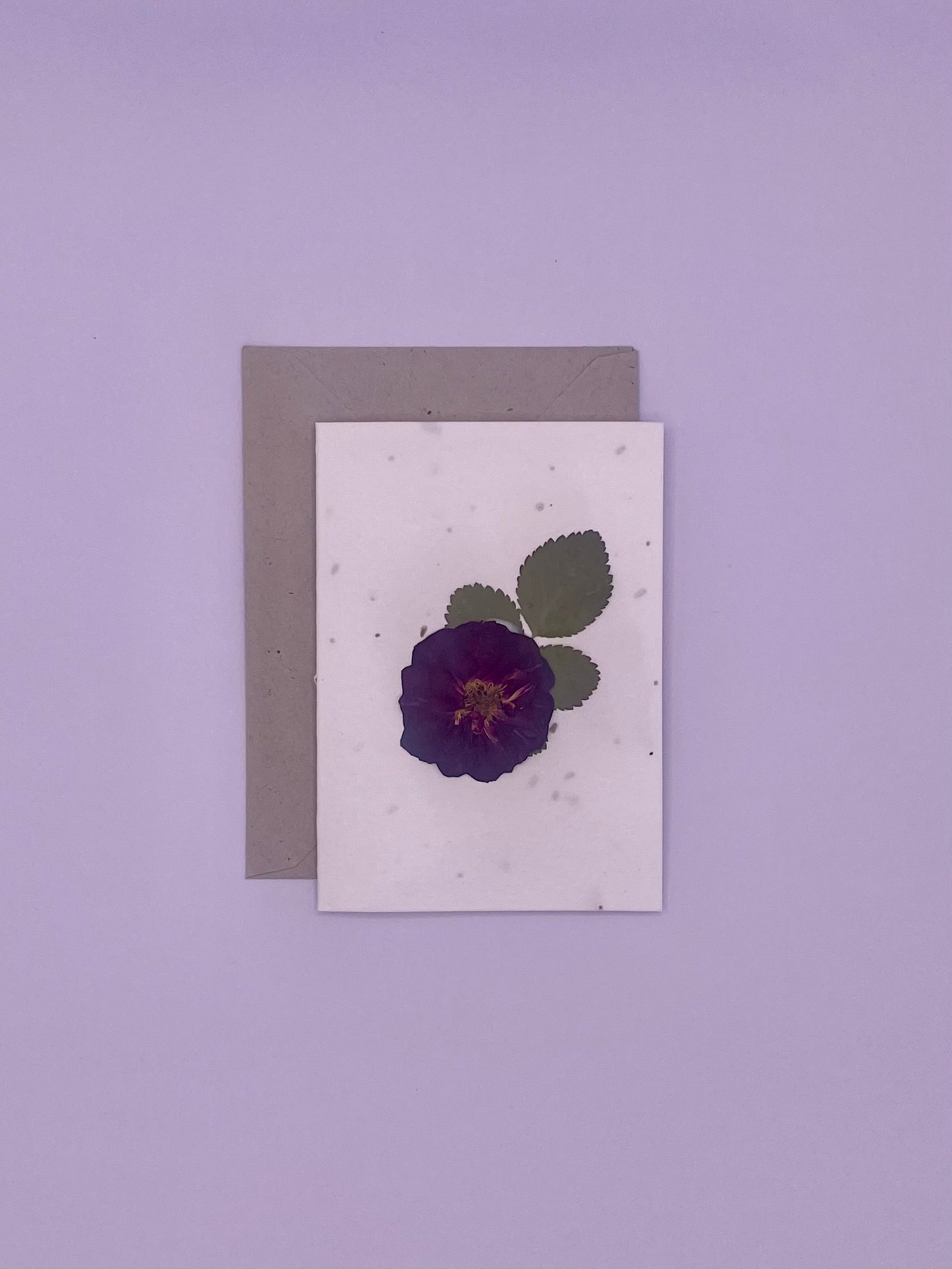 Pressed Flower Plantable Notecard