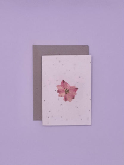 Pressed Flower Plantable Notecard