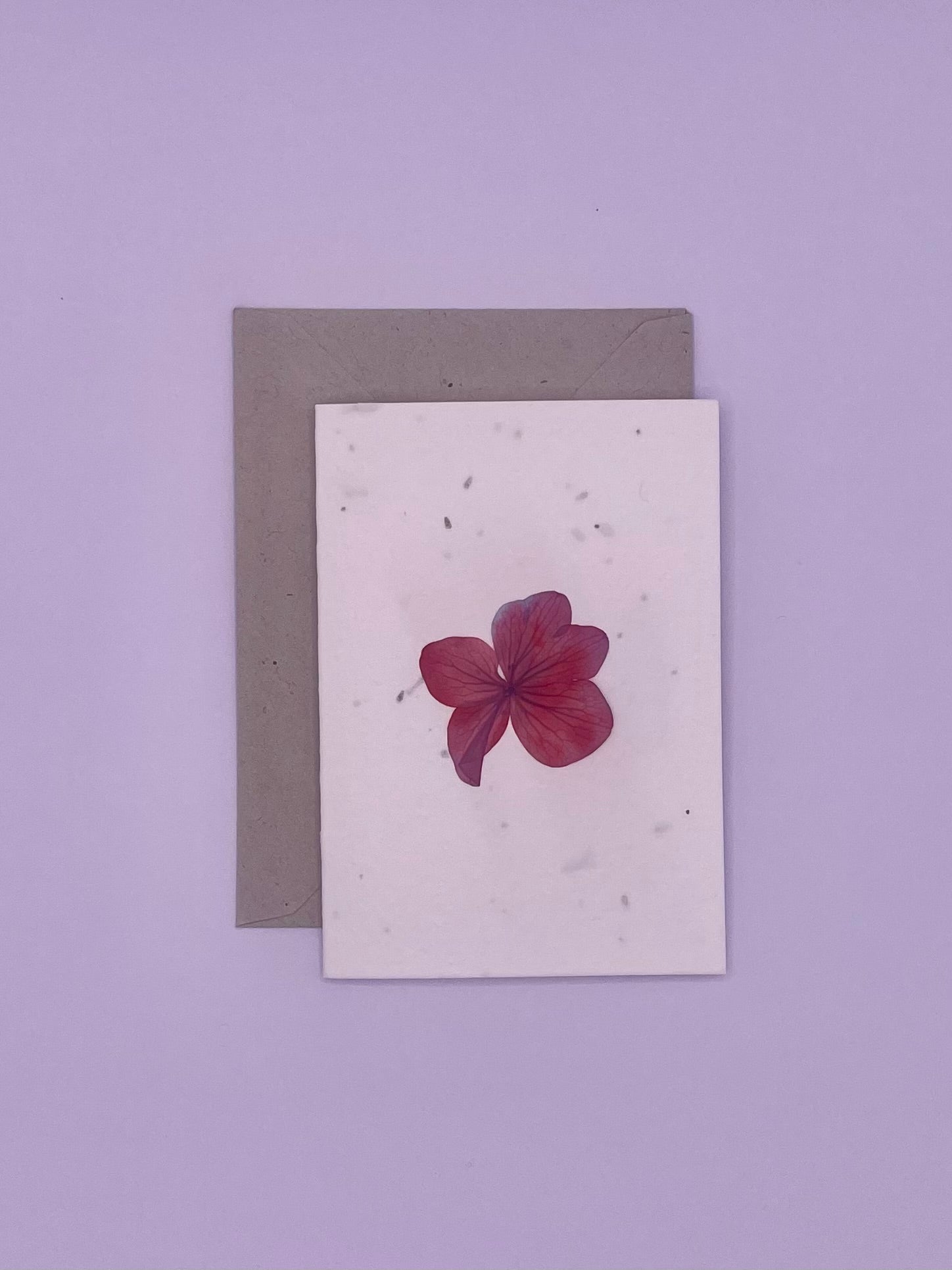 Pressed Flower Plantable Notecard