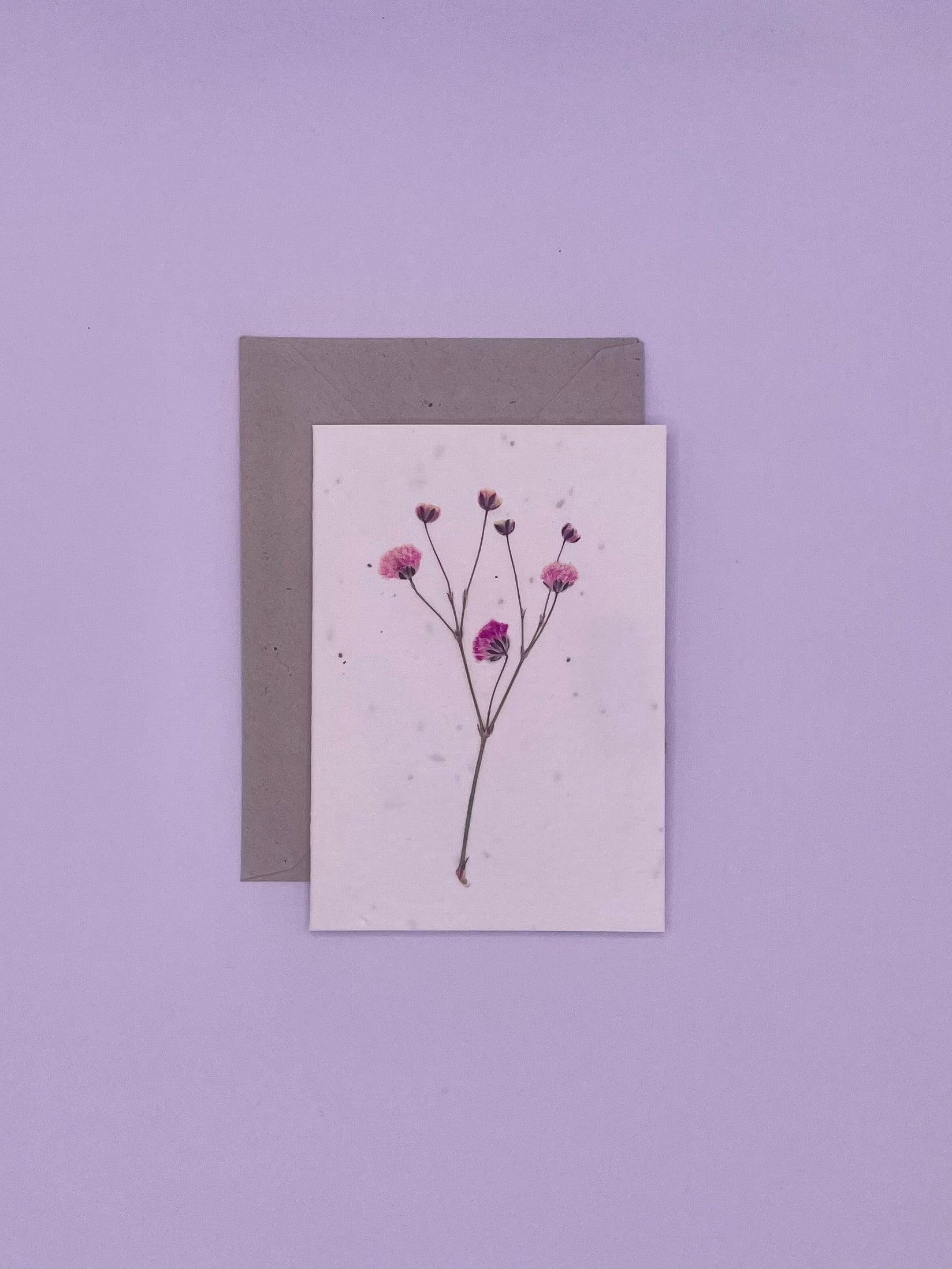 Pressed Flower Plantable Notecard