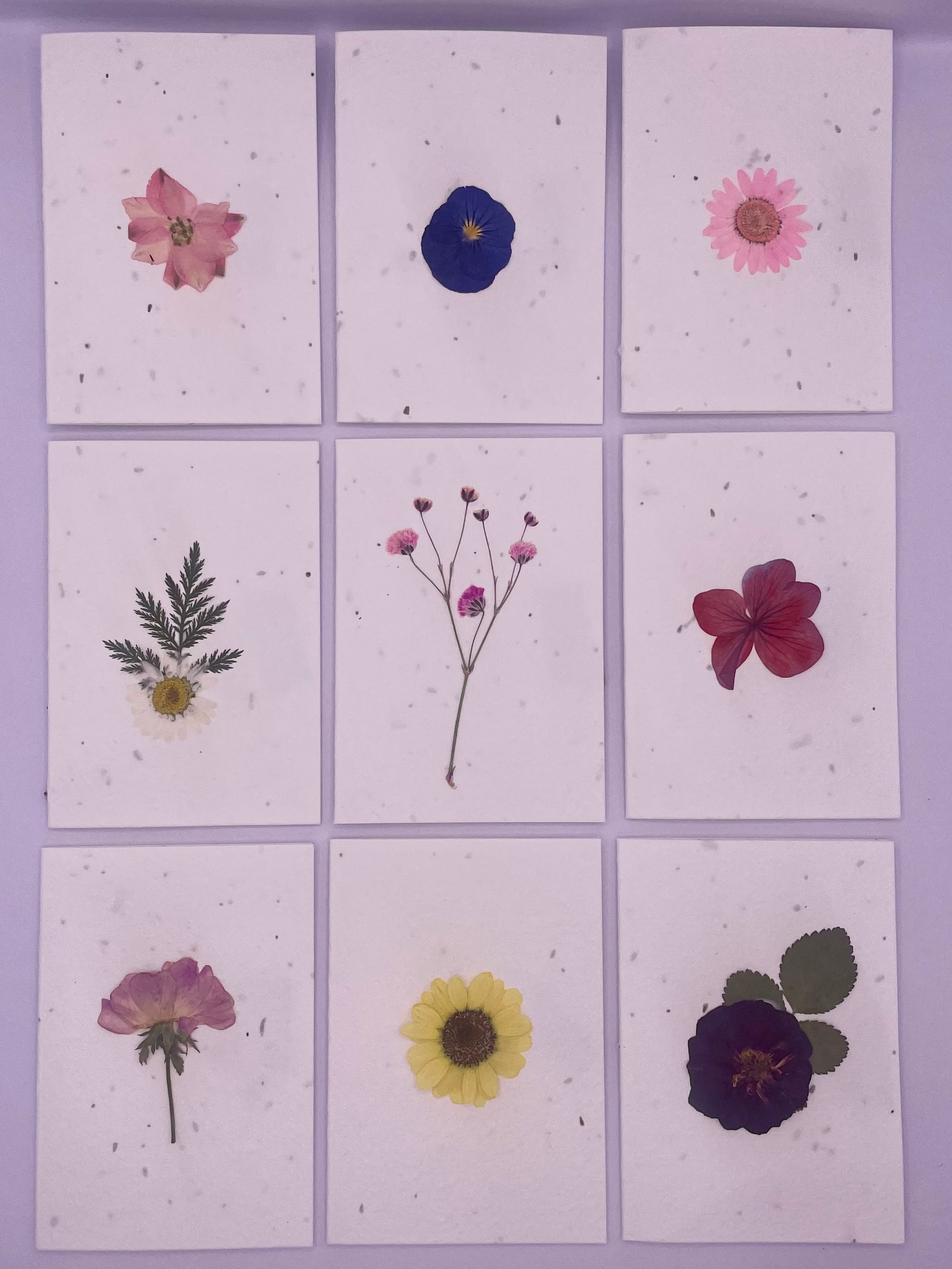 Pressed Flower Plantable Notecard