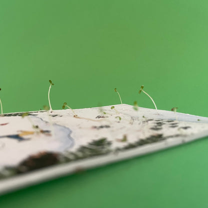 Ruby &amp; Bo Skaters &amp; Skiers Plantable Christmas Card