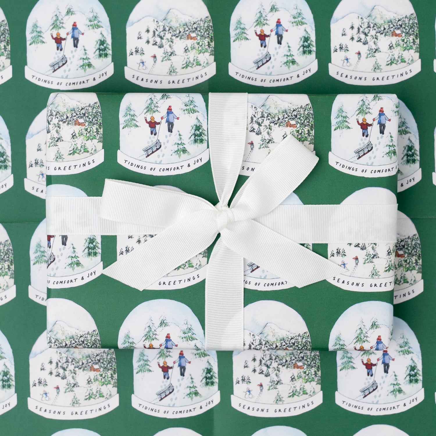 Green Snowglobe Recycled Wrap &amp; Plantable Tag Set