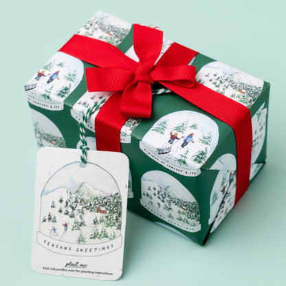 Green Snowglobe Recycled Wrap &amp; Plantable Tag Set