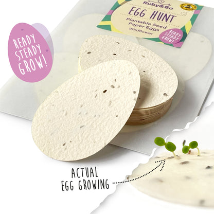Egg Hunt! Plantable Paper Eggs