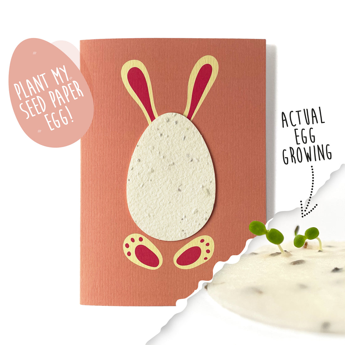 Easter Bunny Plantable Motif Card