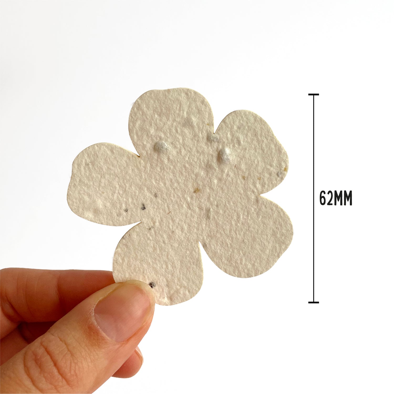 Paper Blooms Plantable Paper Flowers