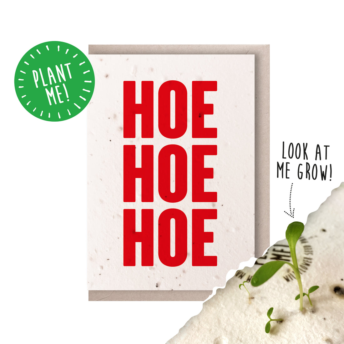 Hoe Hoe Hoe! Christmas Card