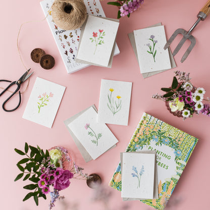 Wildflower Plantable Notecard Set of 6