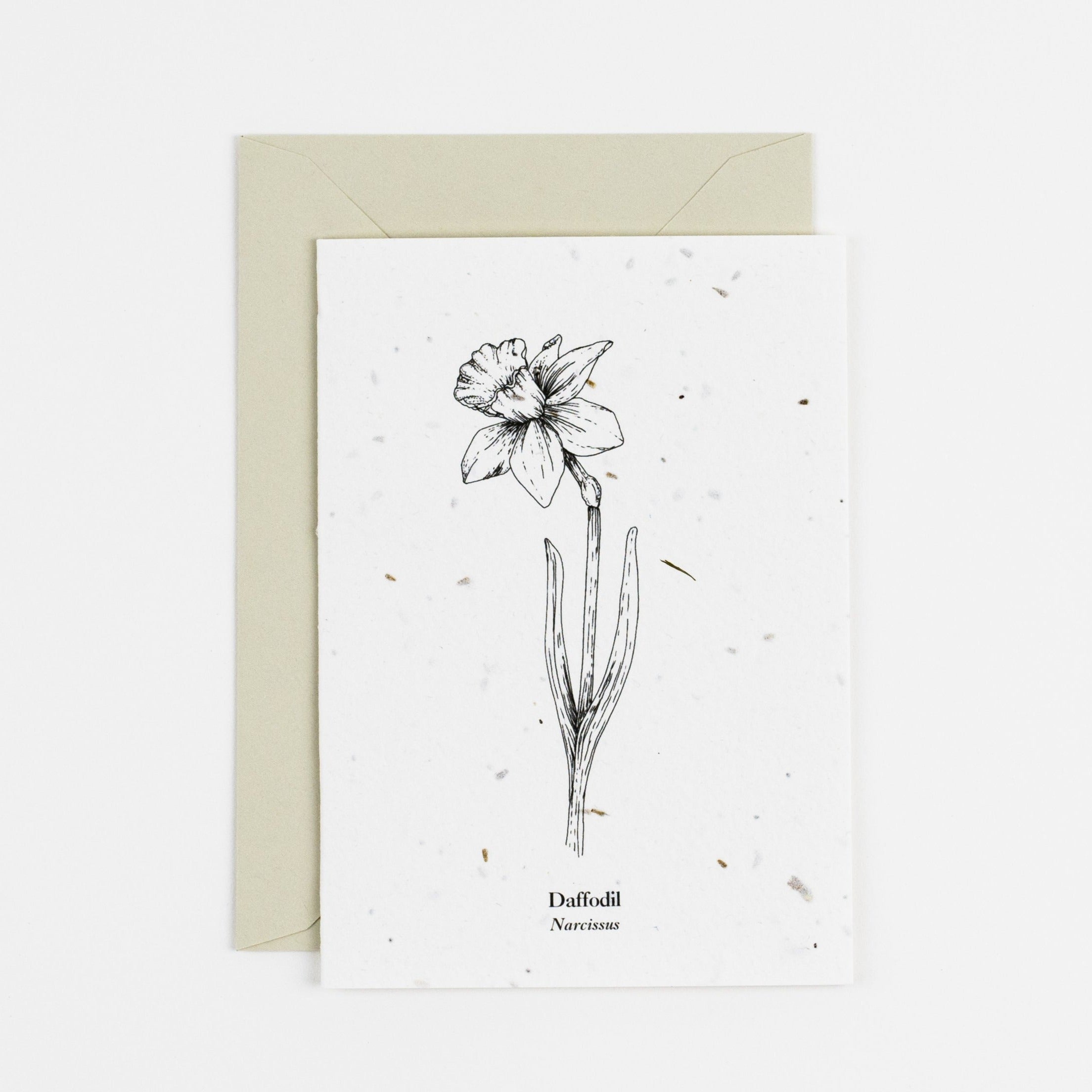 Daffodil Plantable Card