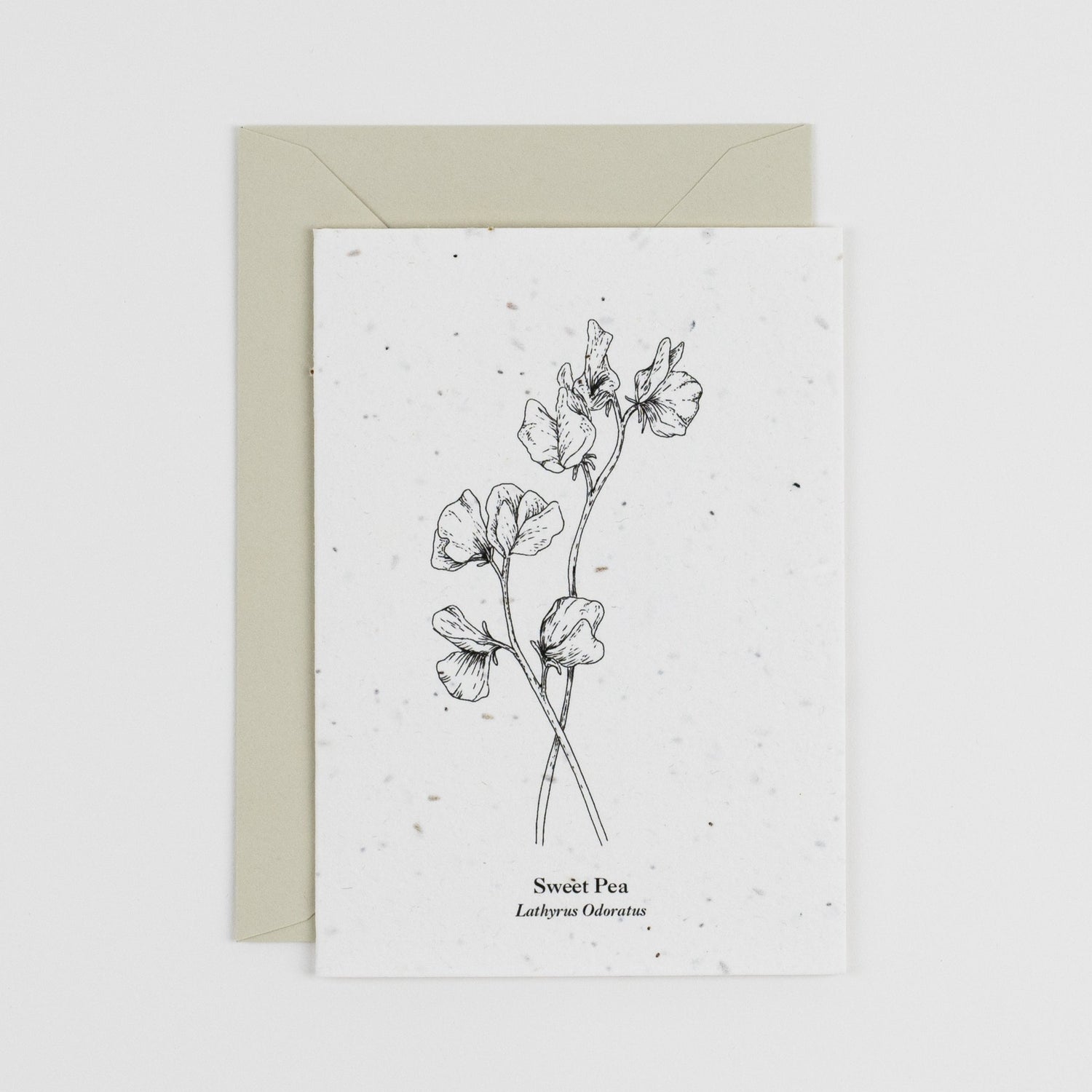 April’s Sweet Pea Tattoo: A Blooming Tribute