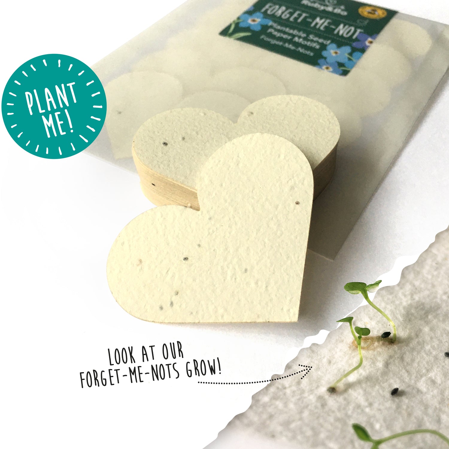 Forget-Me-Not Plantable Hearts